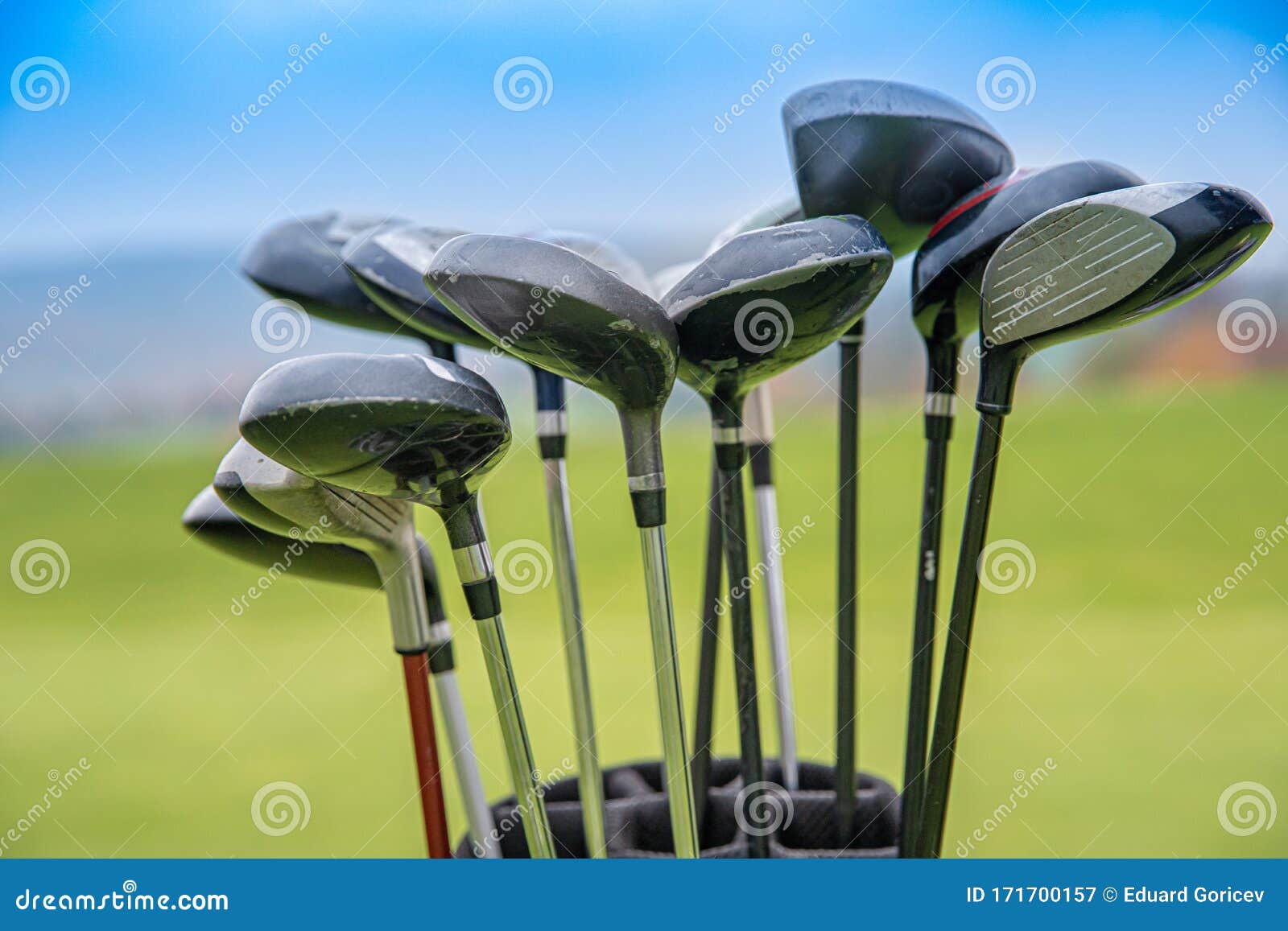 Professional Golf Clubs in Bag on Green Stock Image Image of grass