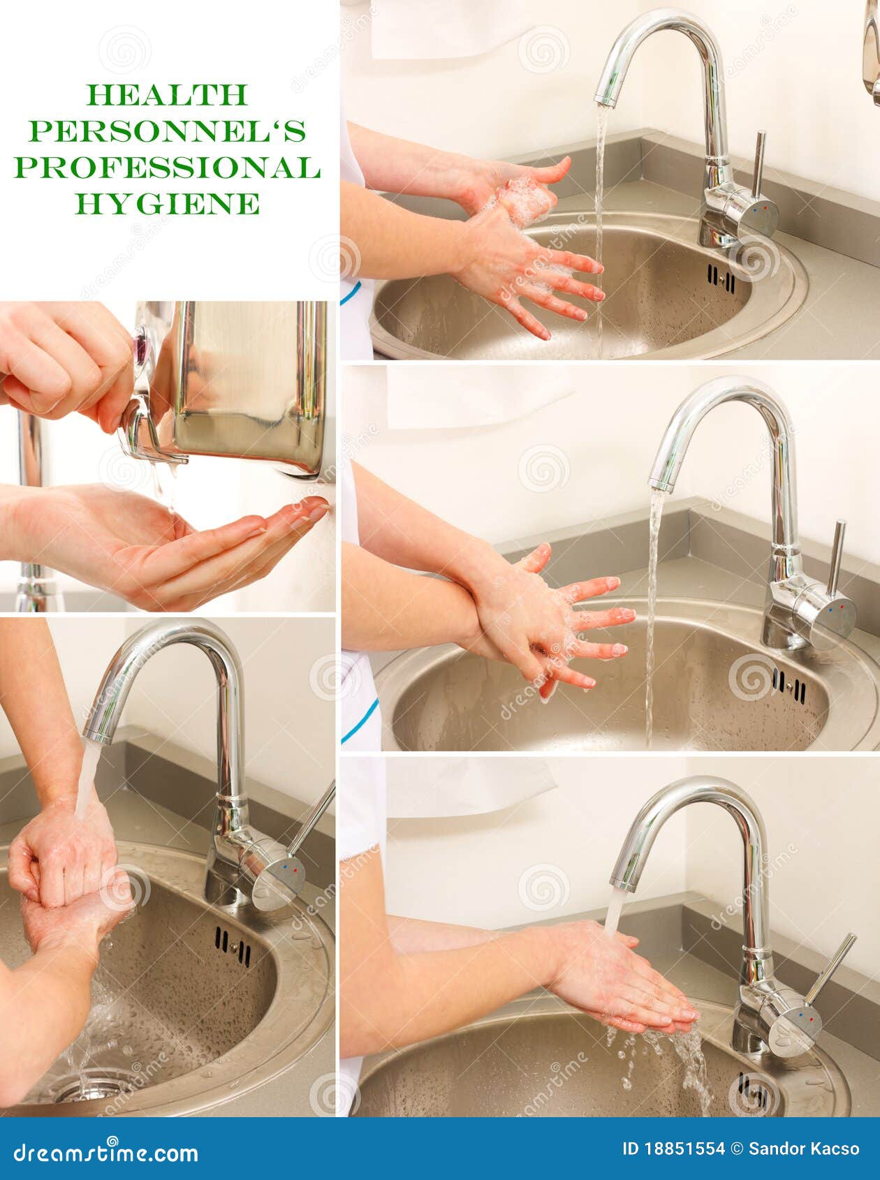 Professional Hand Washing stock photo. Image of water 18851554