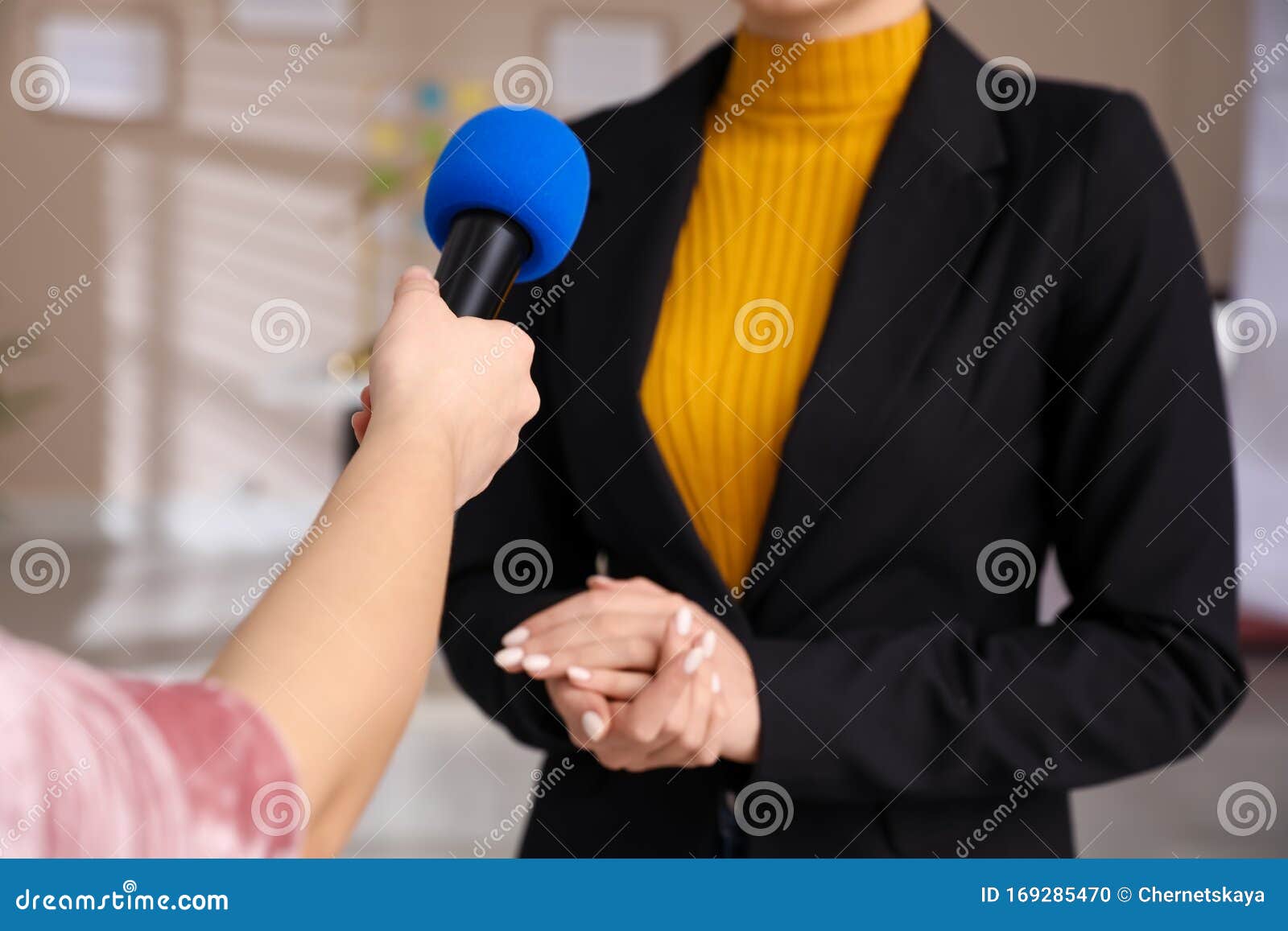 professional journalist interviewing young woman in room