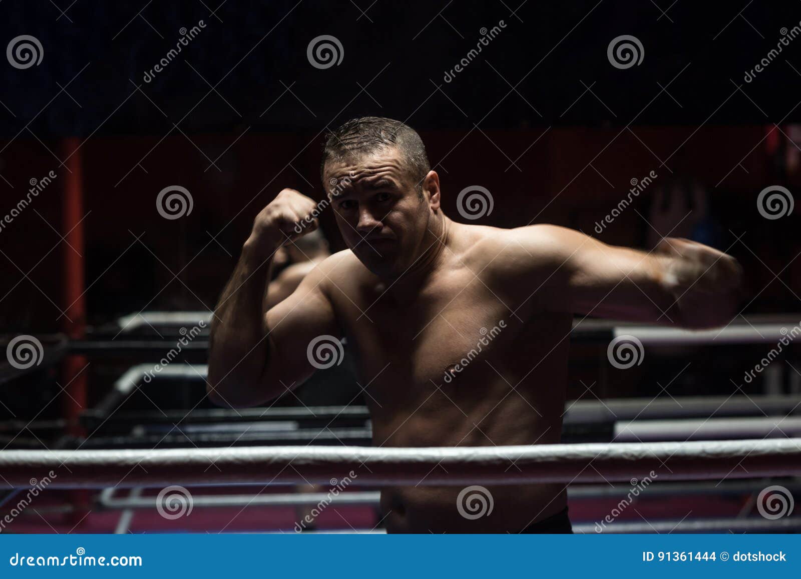 Professional Kickboxer in the Training Ring Stock Photo Image of