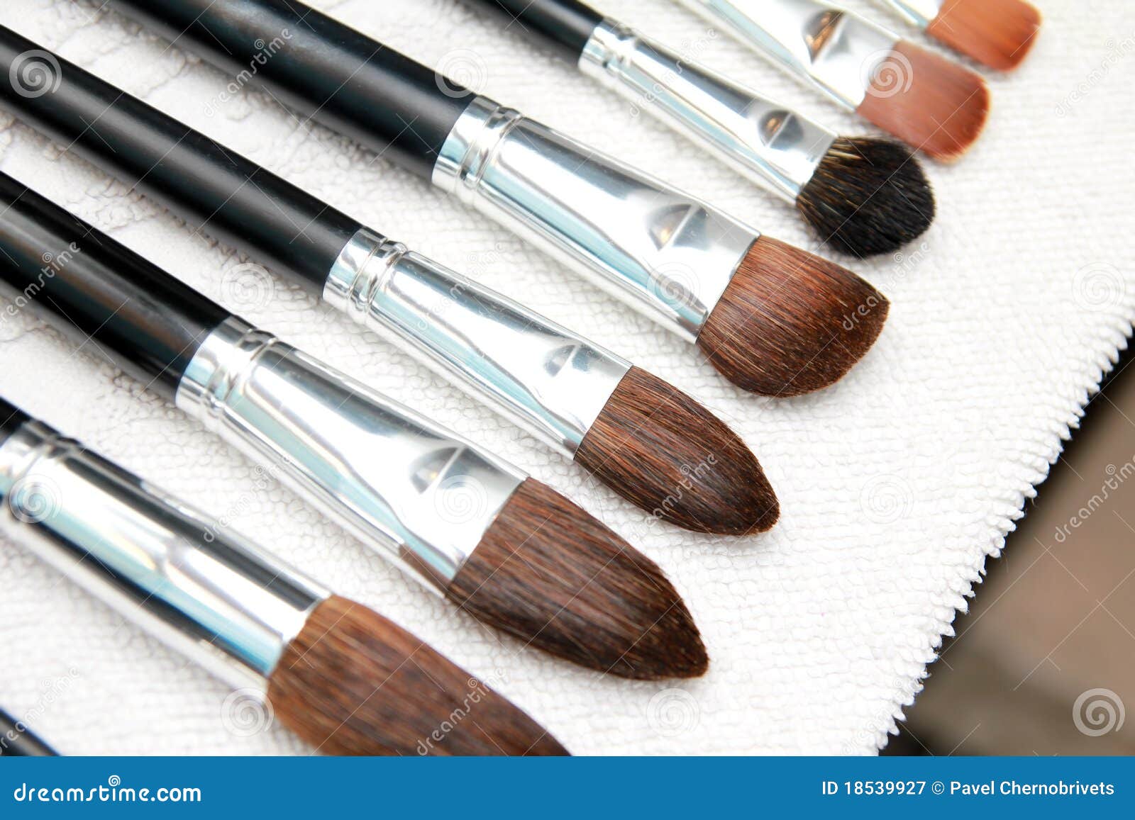 Professional Make Up Brushes Dry on Towel Stock Image Image of artist
