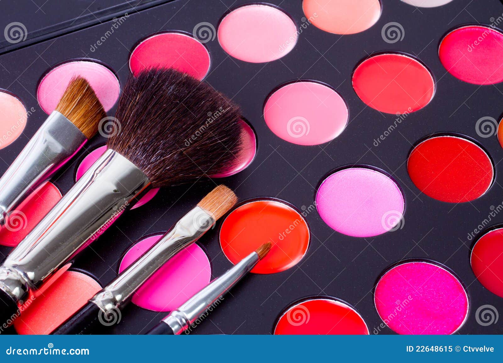 Professional Makeup Multicolor Palette with Brush Stock Image Image