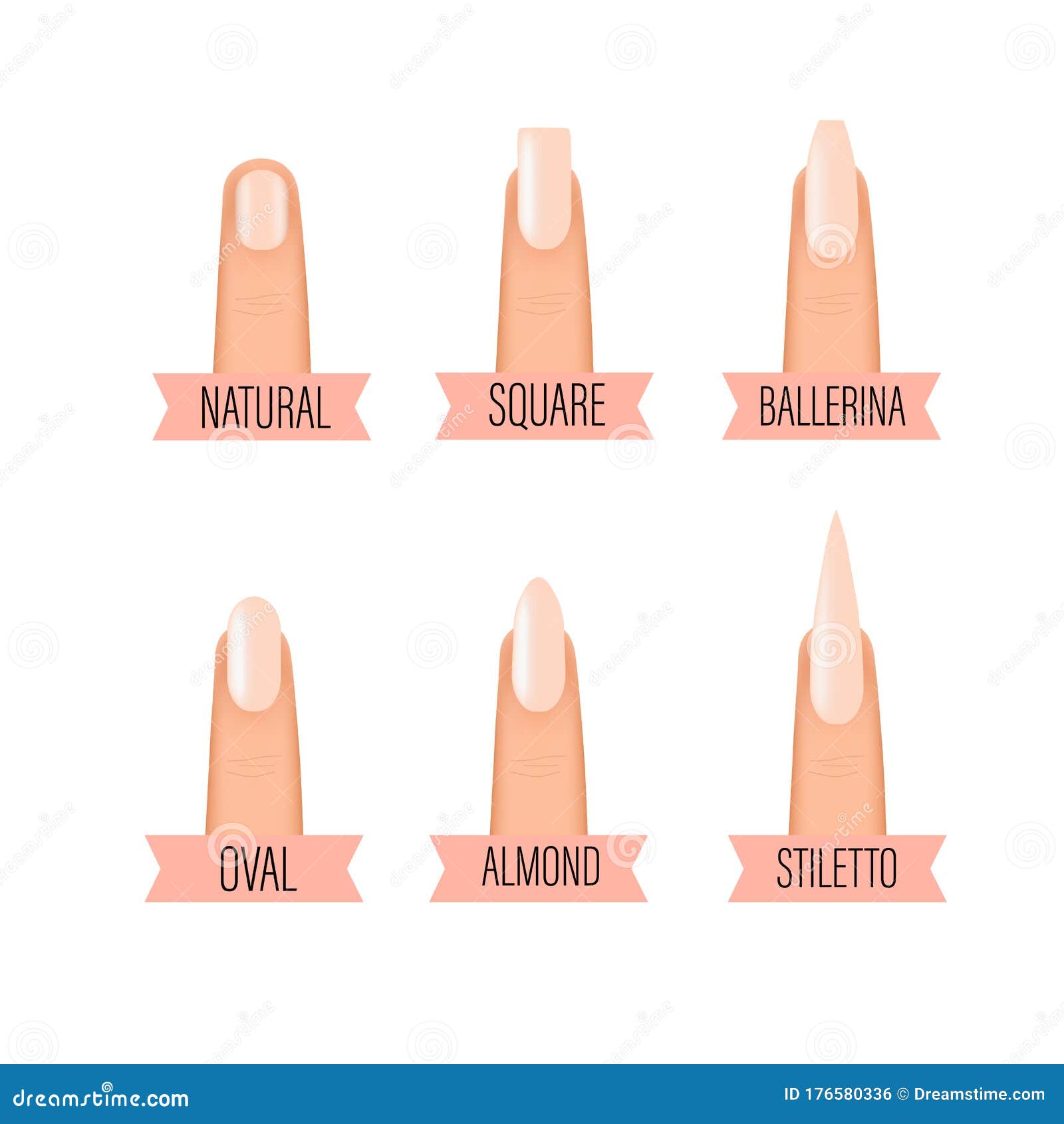 Different fashion nail shapes. Set kinds of nails. Salon nails type trends.  Stock Vector | Adobe Stock