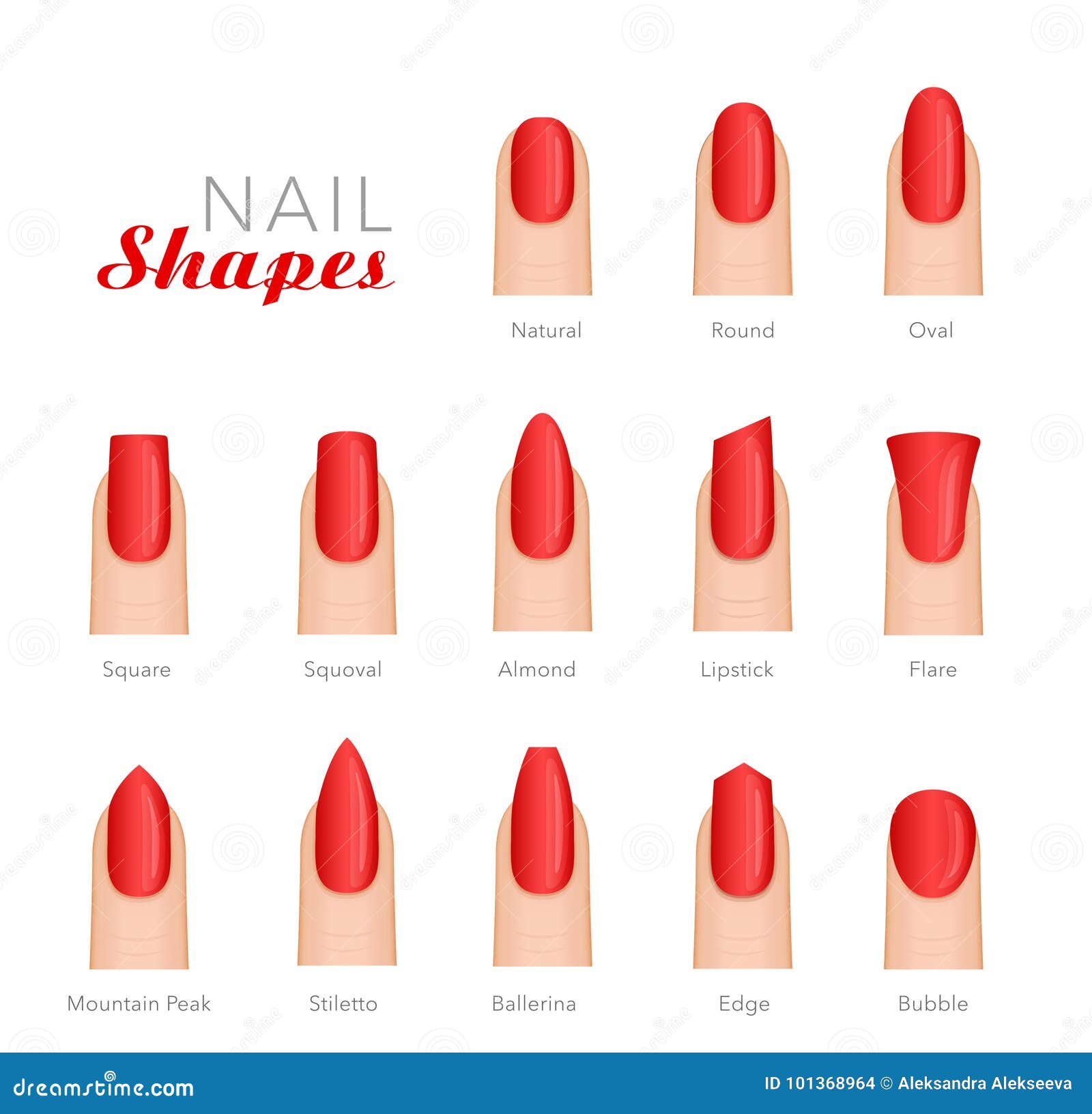 Professional Manicure Different Shapes of Nails Vector Stock Vector ...