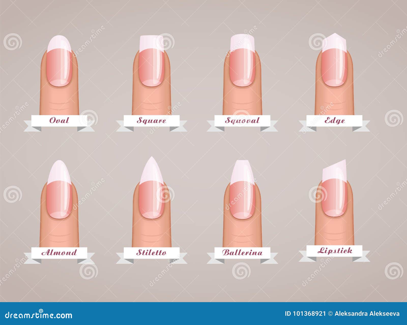 Professional manicure different shapes of nails vector Stock Vector | Adobe  Stock