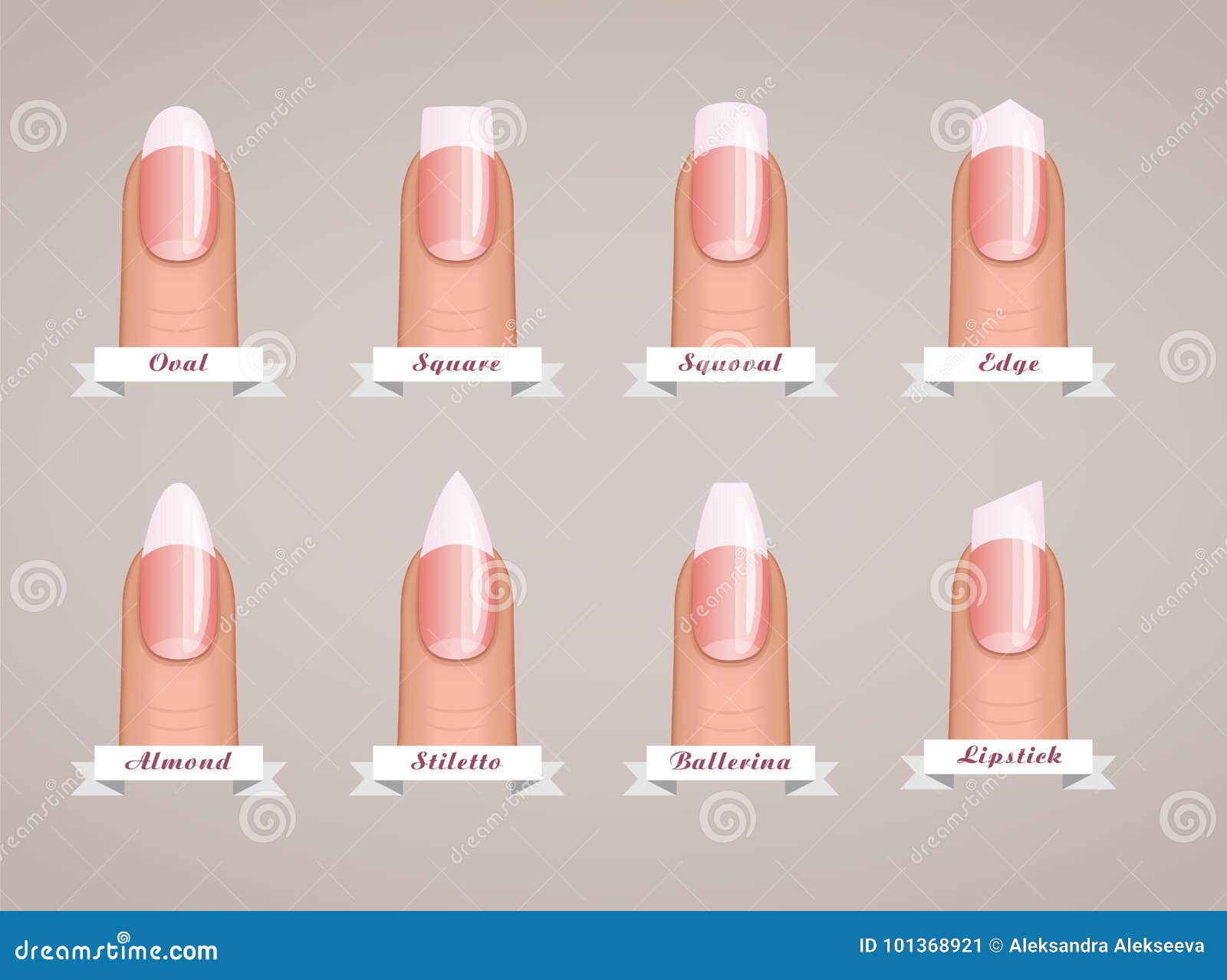 Professional Manicure Different Shapes of Nails Vector Stock Vector