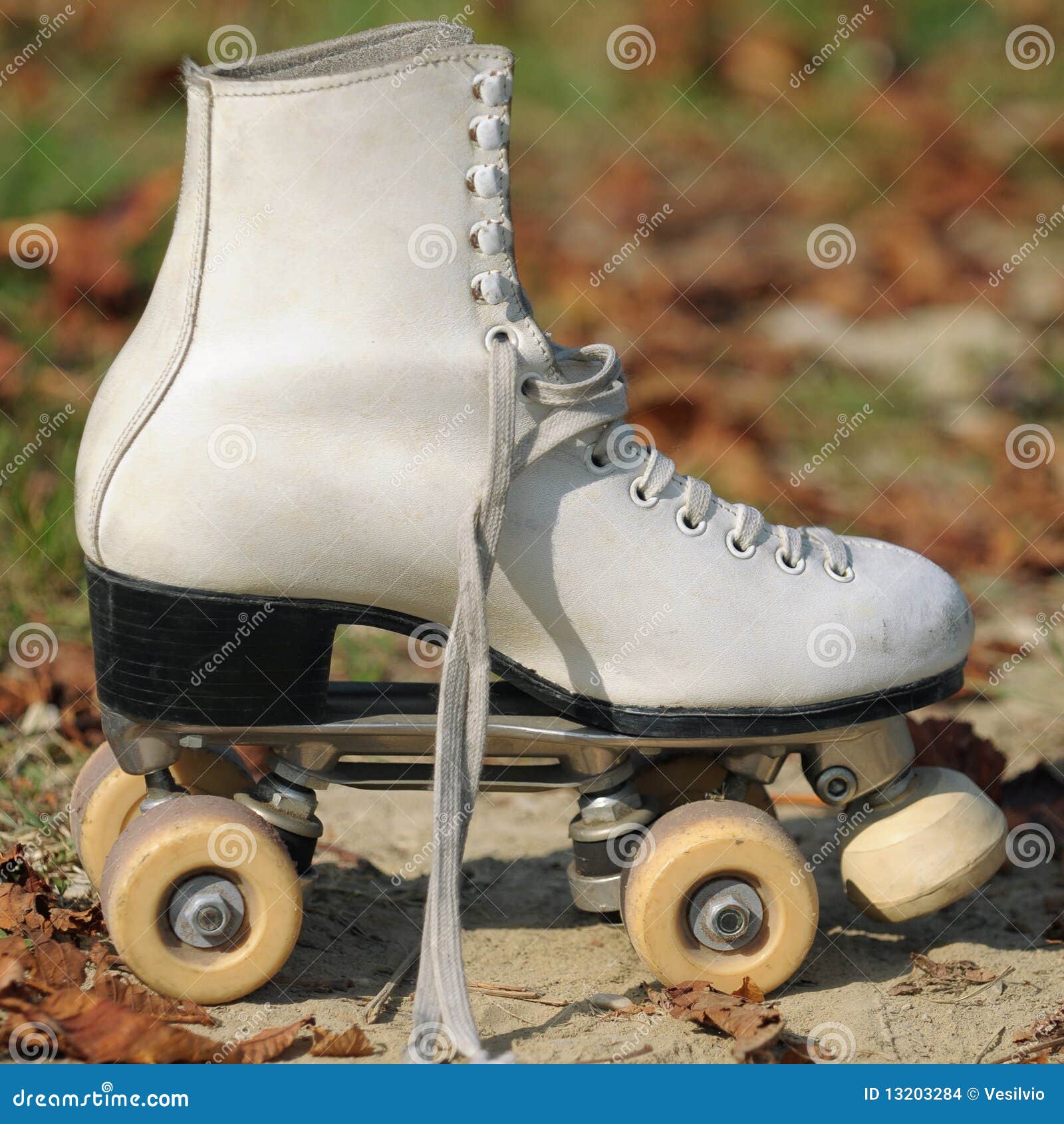 periode Gelijkwaardig Kan worden berekend Professional roller skate stock photo. Image of boot - 13203284