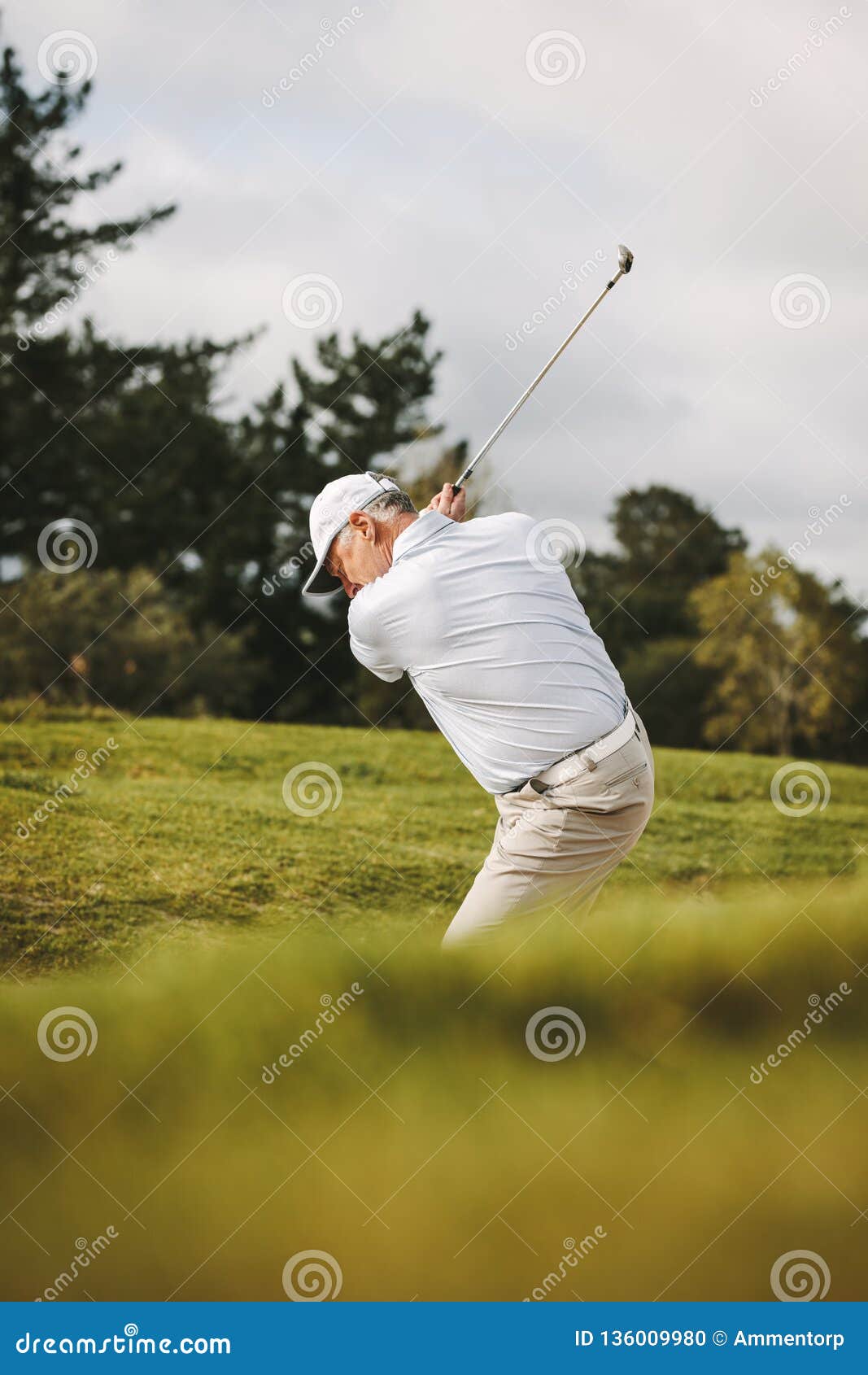 Professional Senior Golfer Making a Shot from Sand Bunker Stock Photo ...