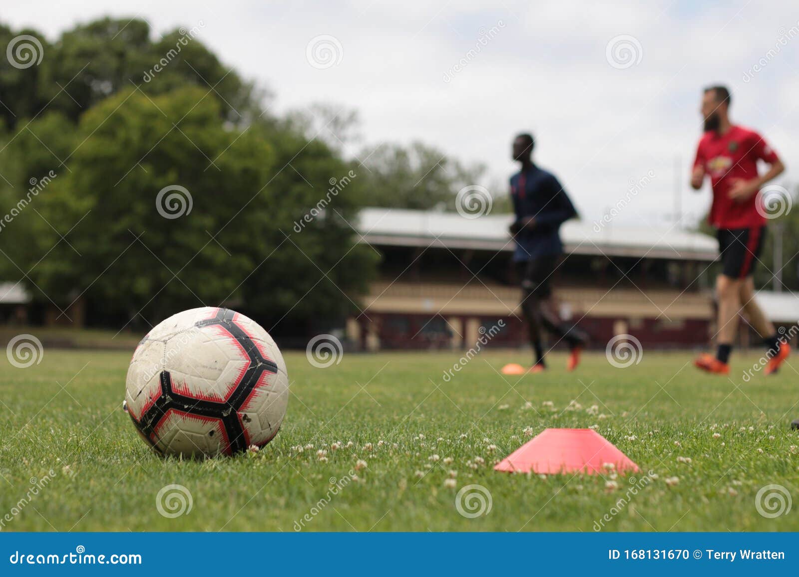 Professional Soccer Football Training Using Cones And Sports Ball For Running And Agility Training Exercise At A Public Grass Oval Stock Photo Image Of Practice Grass Professional Soccer Football Training Using Cones And Sports Ball For Running And Agility Training Exercise At A Public Grass Oval Stock Photo Image Of Practice Grass