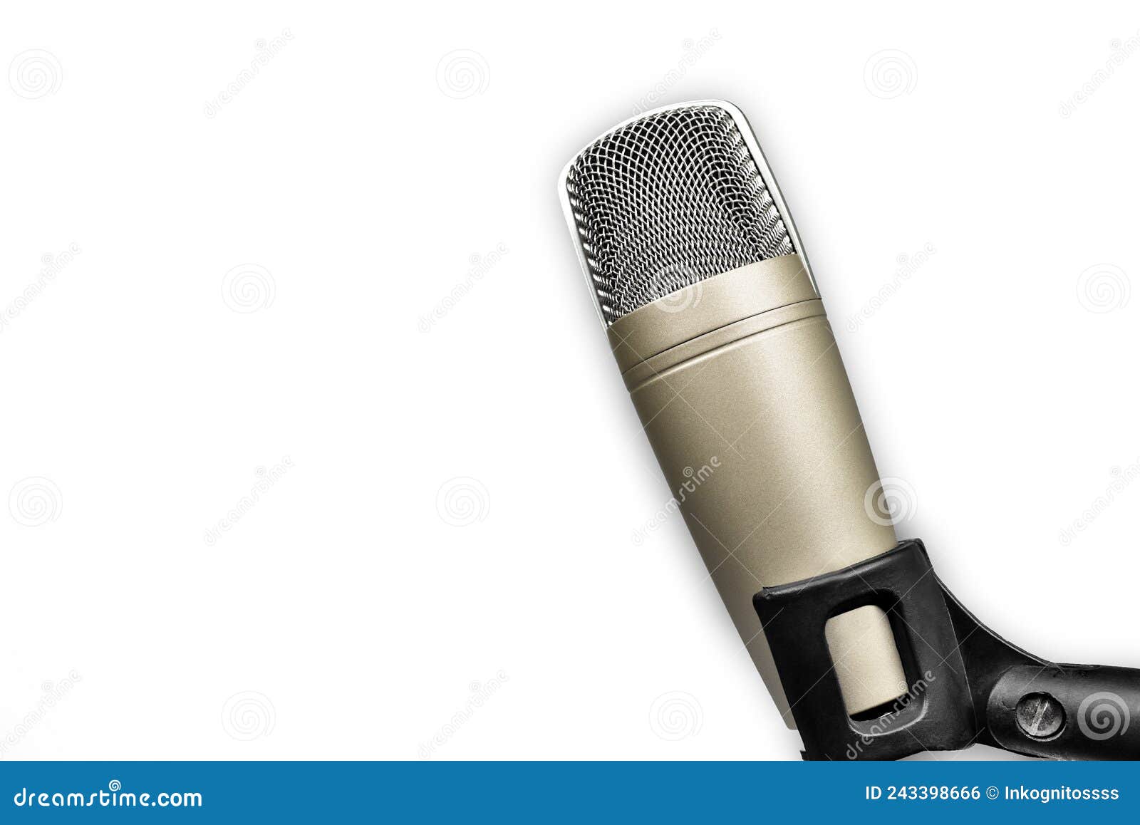 Professional Studio Condenser Microphone for Voice Recording on White