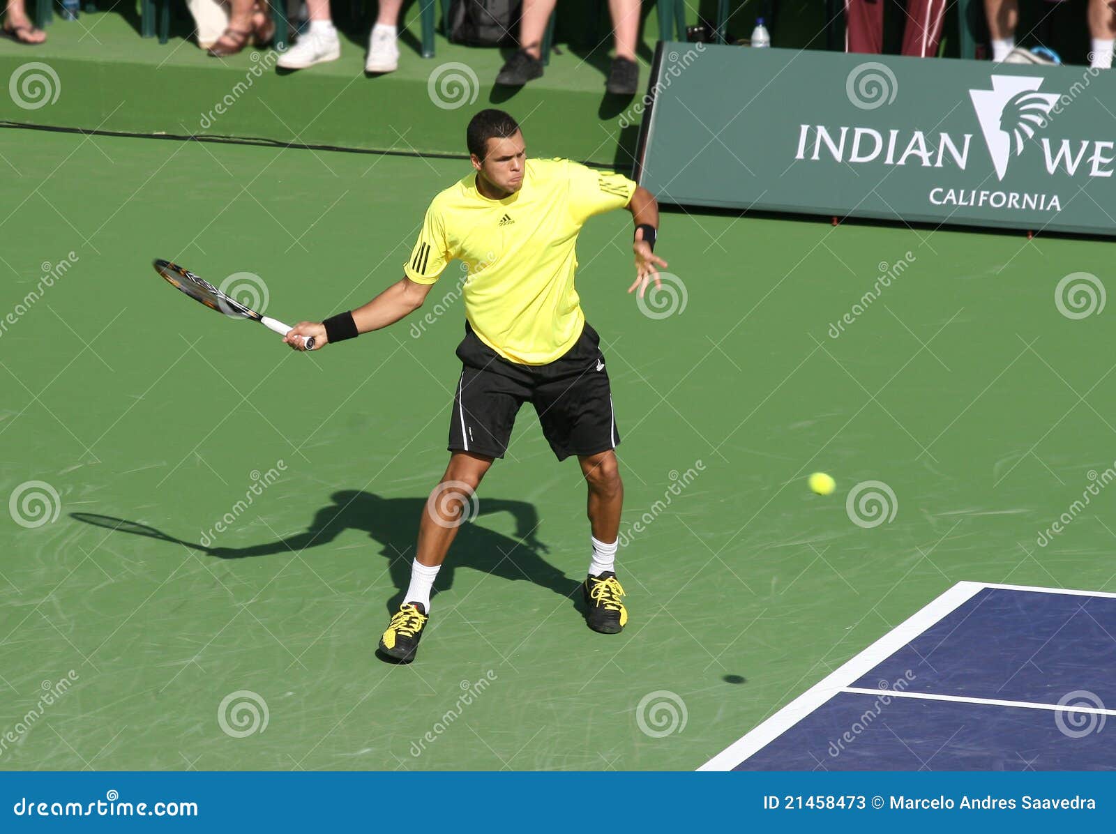 Professional Tennis Player. Editorial Stock Photo Image of