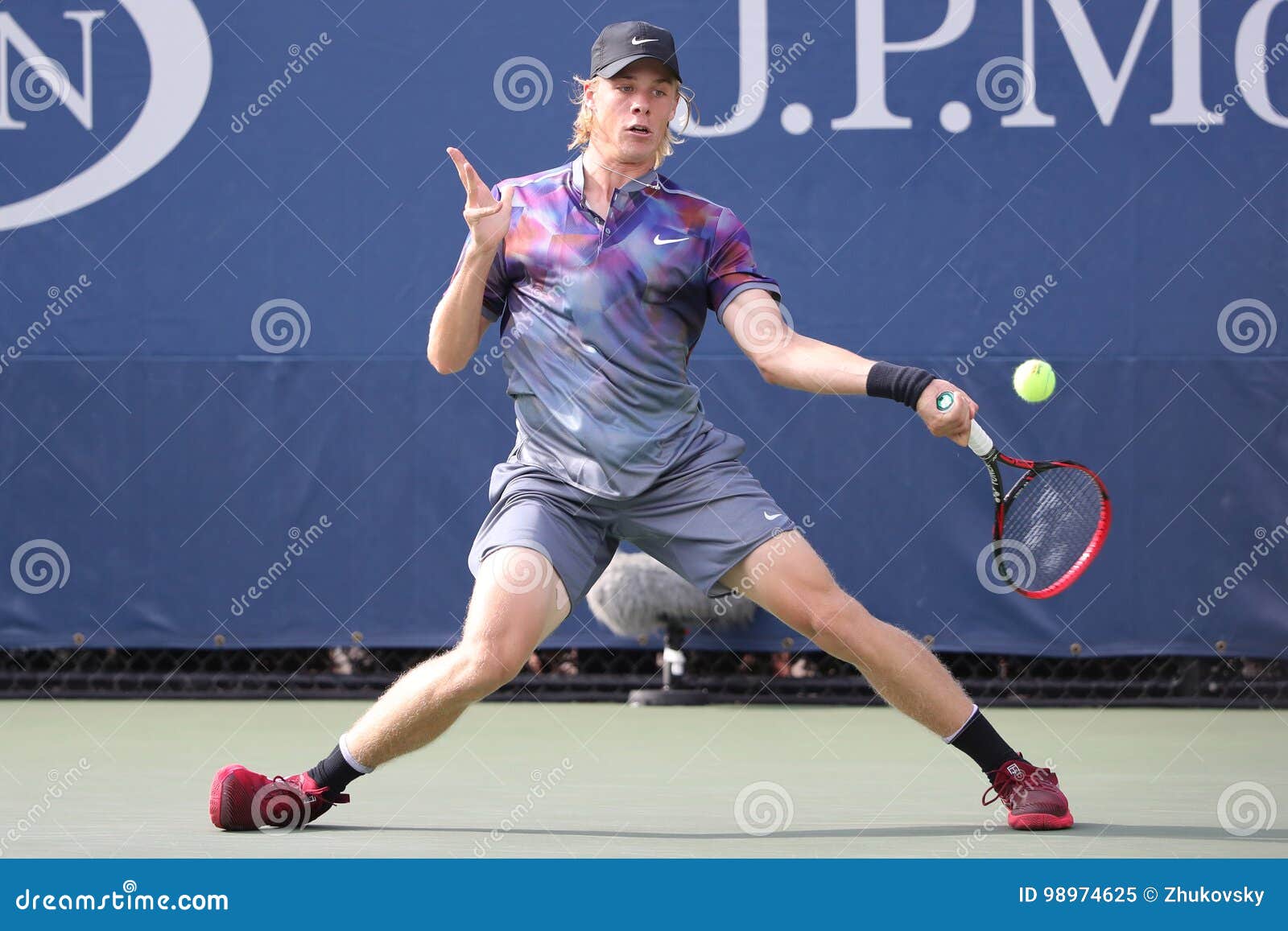 shapovalov nike shoes