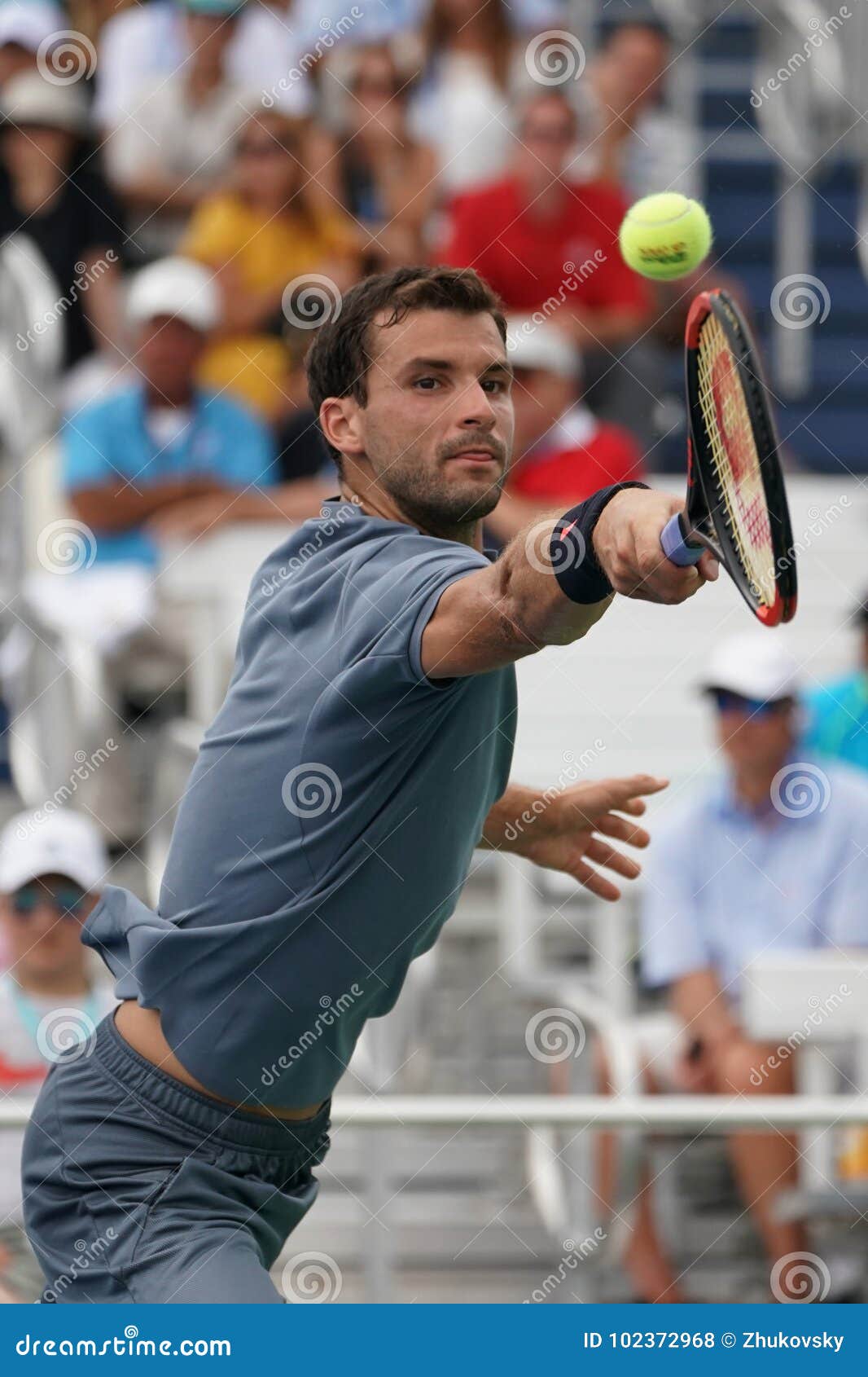 Professional Tennis Player Grigor Dimitrov of Bulgaria in Action during ...