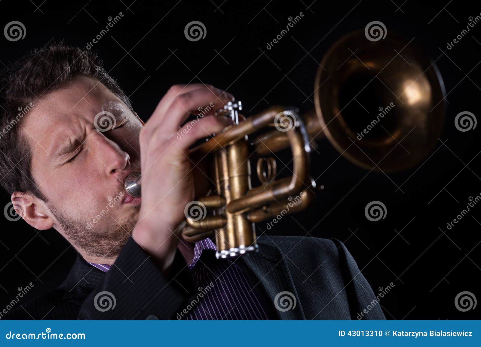 Professional Trumpet Player Stock Photo Image of favorite, concert