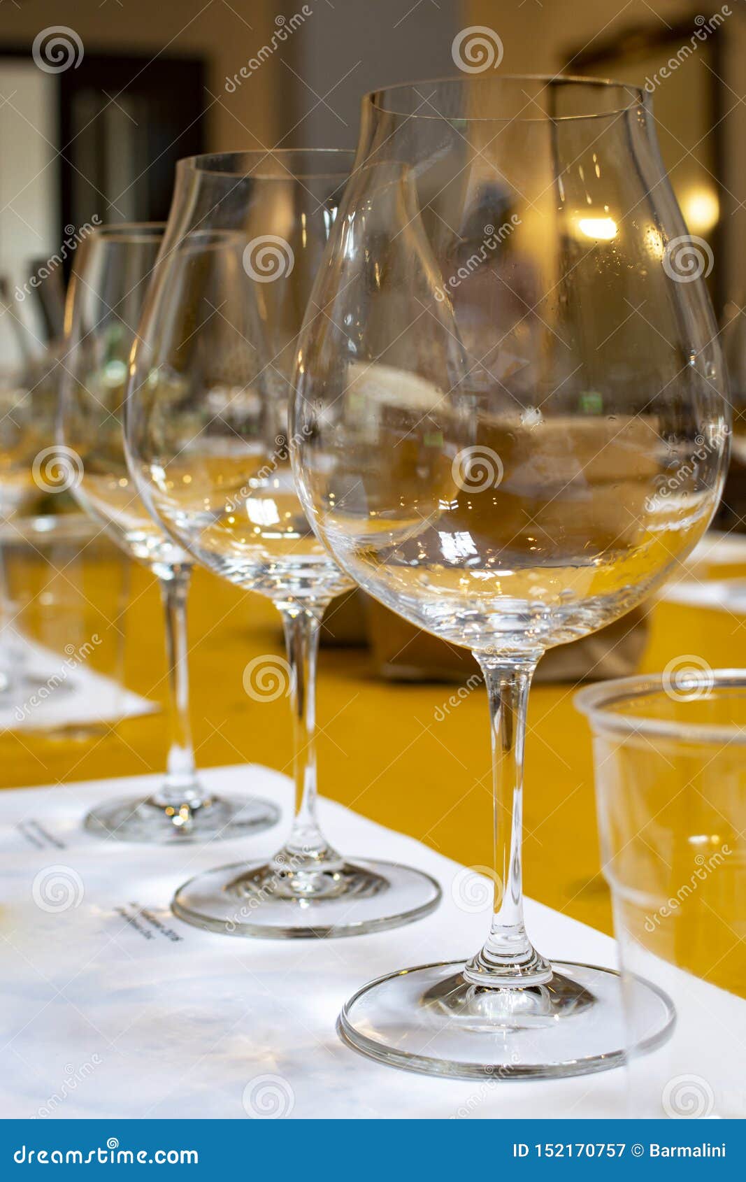 Professional Wine Tasting, Sommelier Course, Clean Empty Wine Glasses