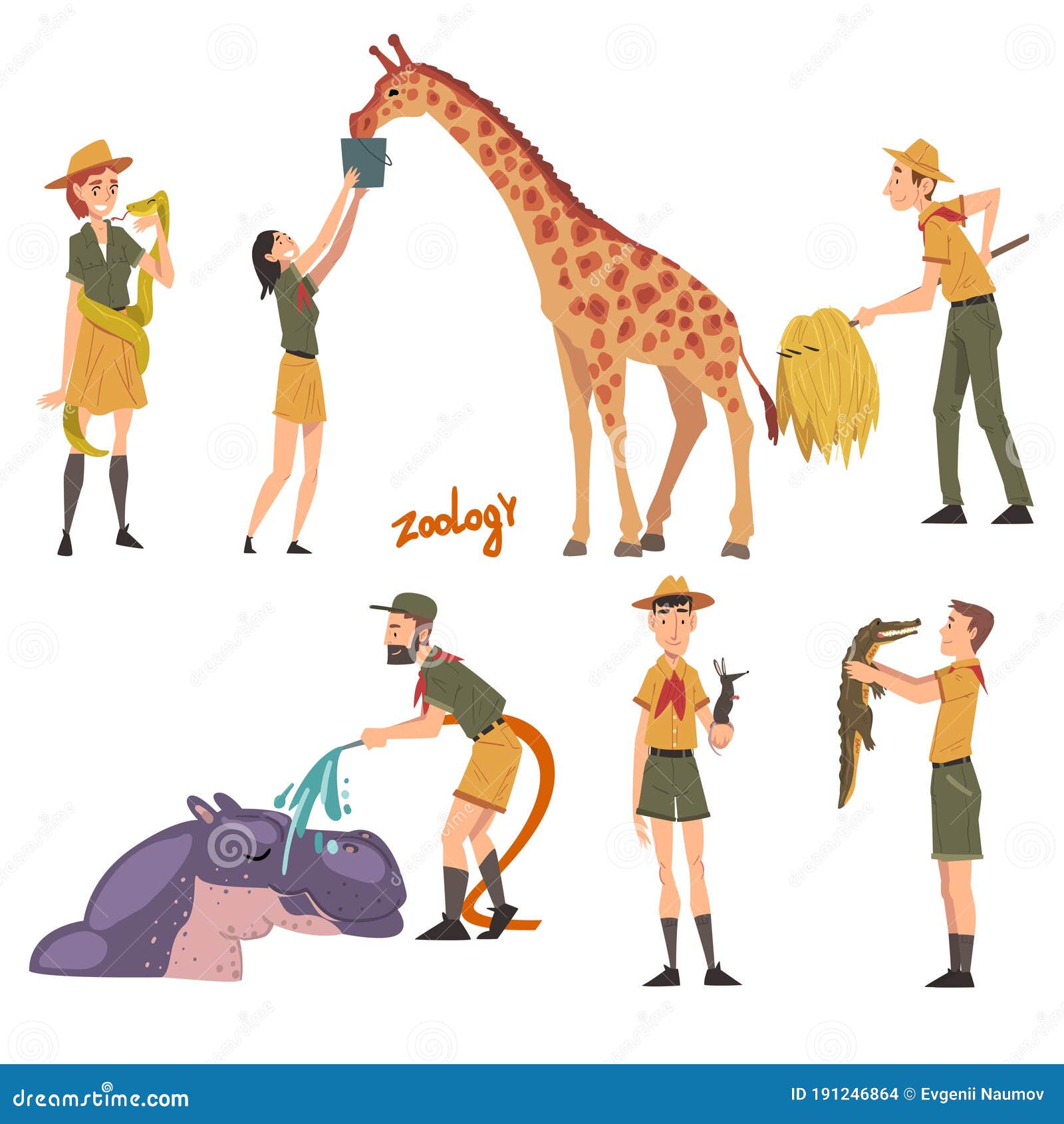 Professional Zoo Workers Caring of Wild Animals in Zoo, Male and Female  Veterinarian or Zookeeper Characters in Uniform Stock Vector - Illustration  of snake, care: 191246864
