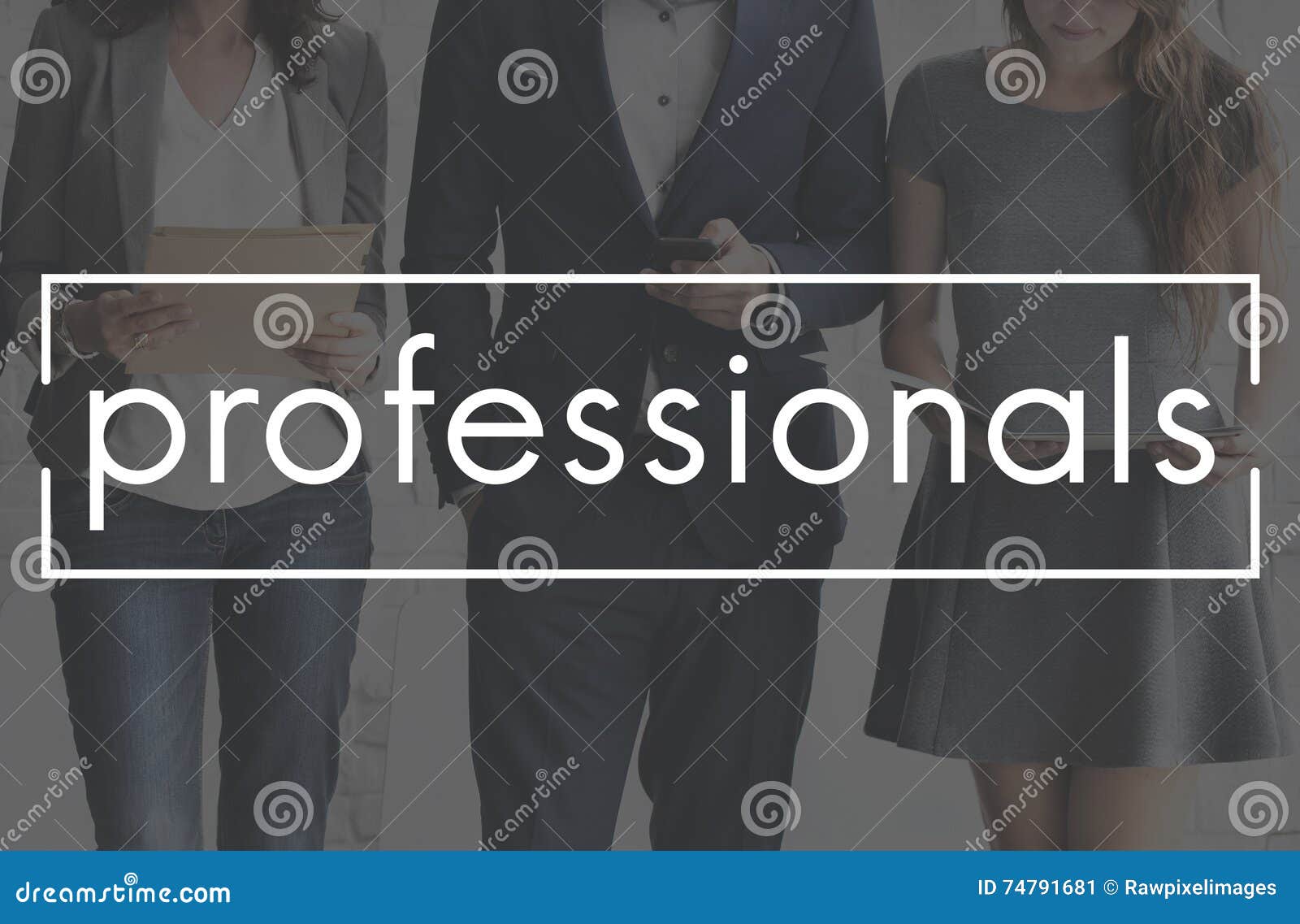 professionals business people expert accomplished concept