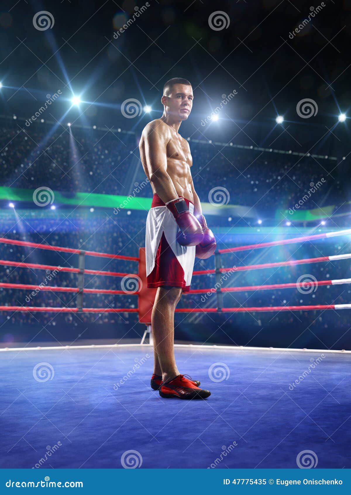Professionl Boxer is Standing on the Ring Stock Image Image of glove