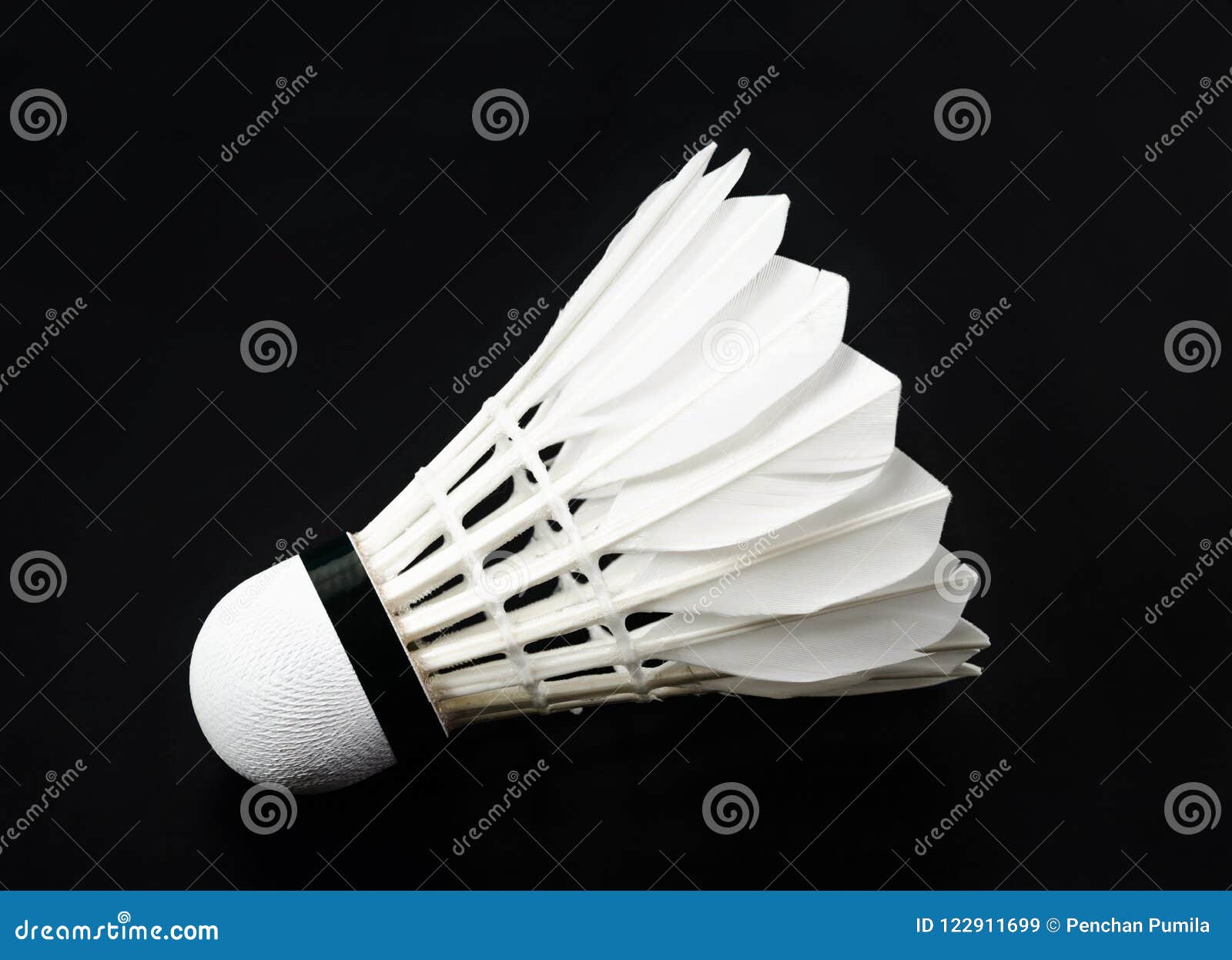 Professionnel Blanc De Plume De Volant De Badminton Image stock - Image du  planche, pièce: 122911699