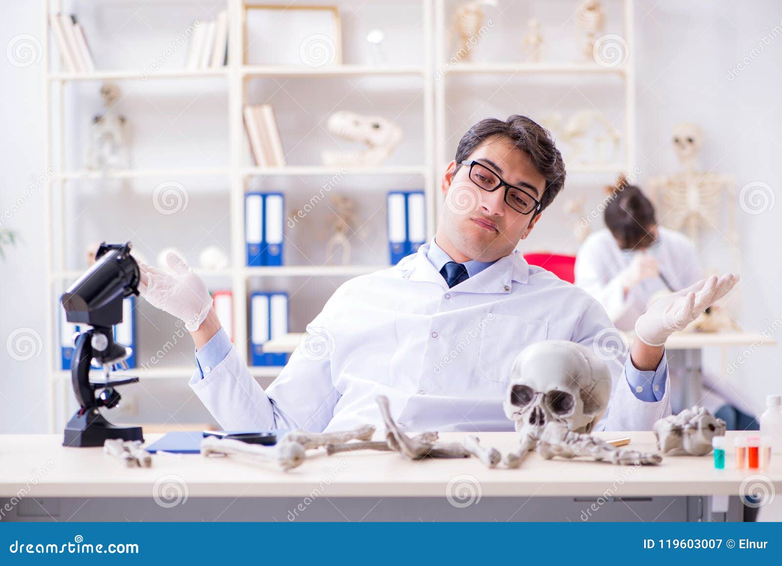 The Professor Studying Human Skeleton in Lab Stock Image Image of