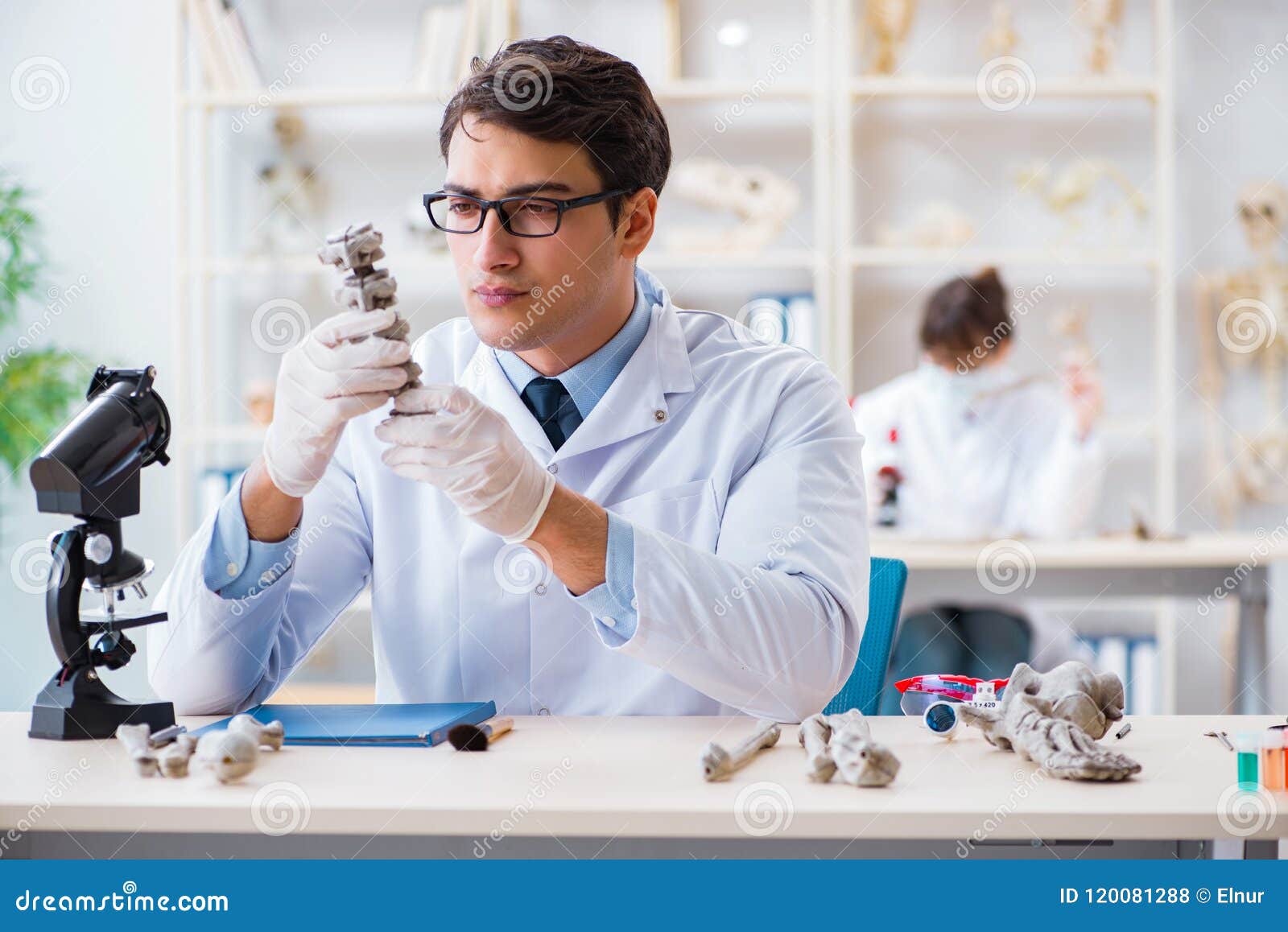 The Professor Studying Human Skeleton in Lab Stock Photo Image of