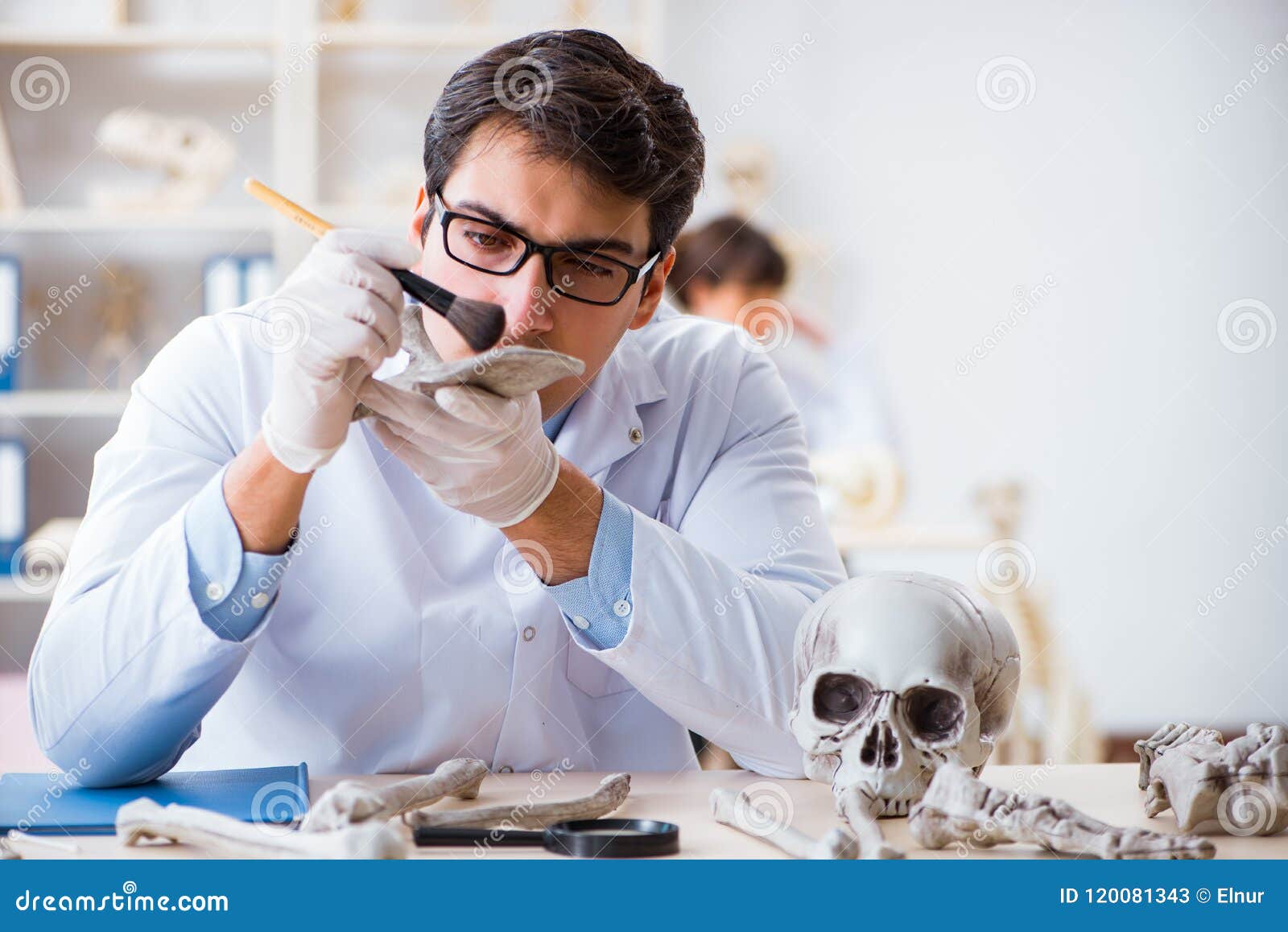 The Professor Studying Human Skeleton in Lab Stock Image Image of
