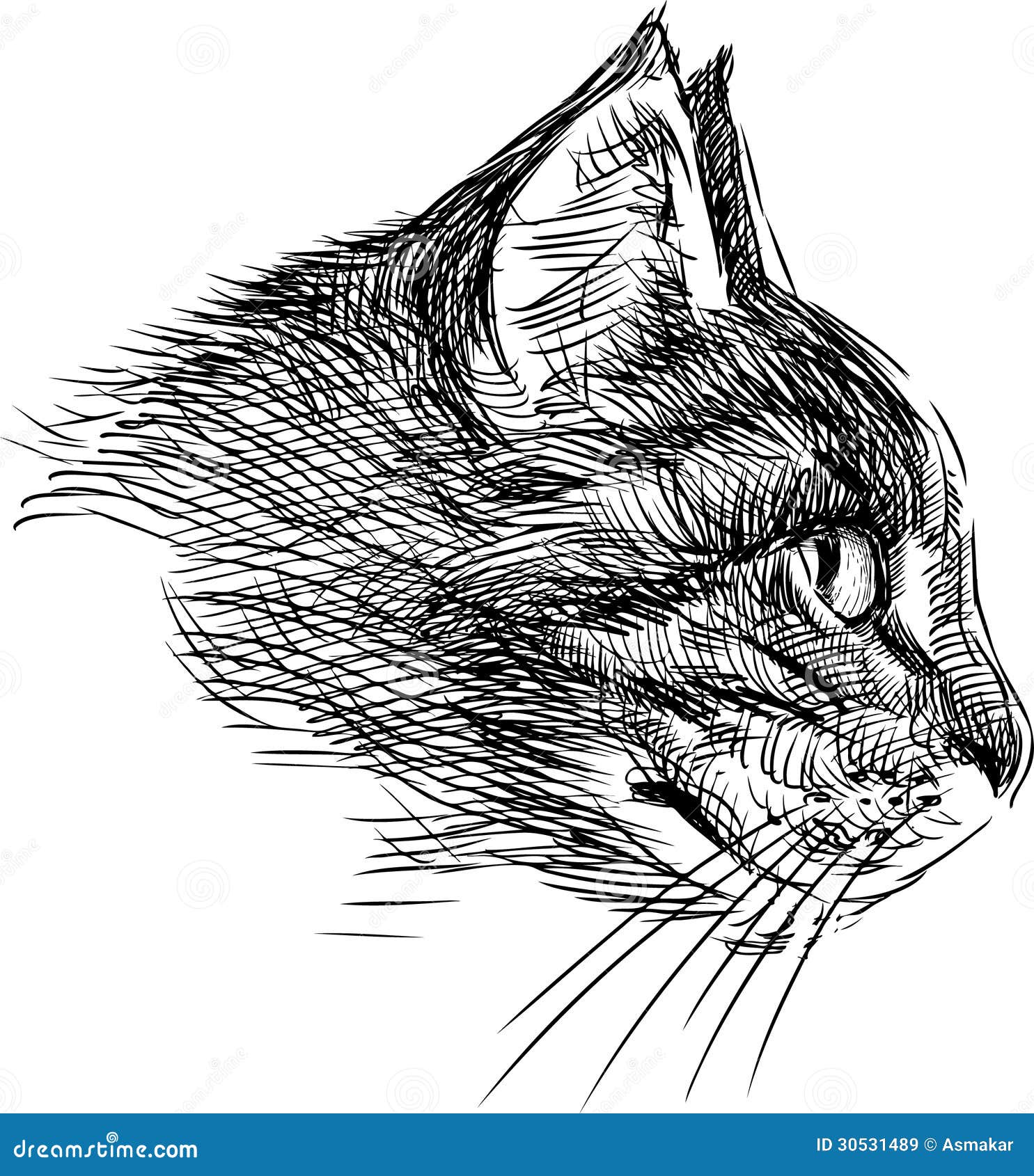 Profil D Un Chat Illustration De Vecteur Illustration Du Domestique