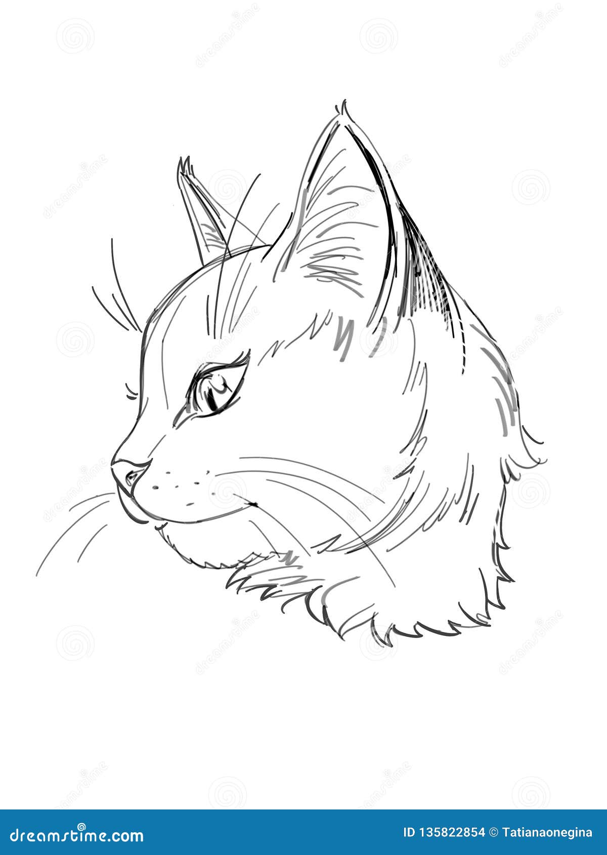 Profil Tete De Chat Dessin Get Images One