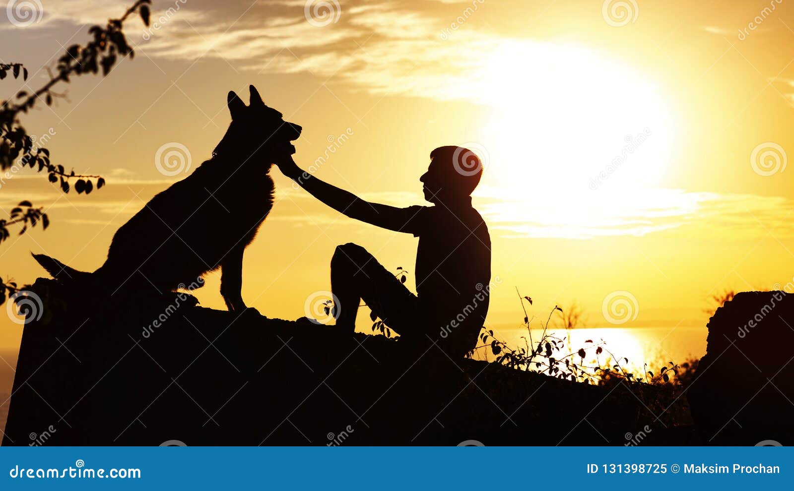 Jeune Homme Caressant Son Chien En Lui Touchant La Tête Avec Un Visage  Heureux. Dans L'escalier Banque D'Images et Photos Libres De Droits. Image  71301995