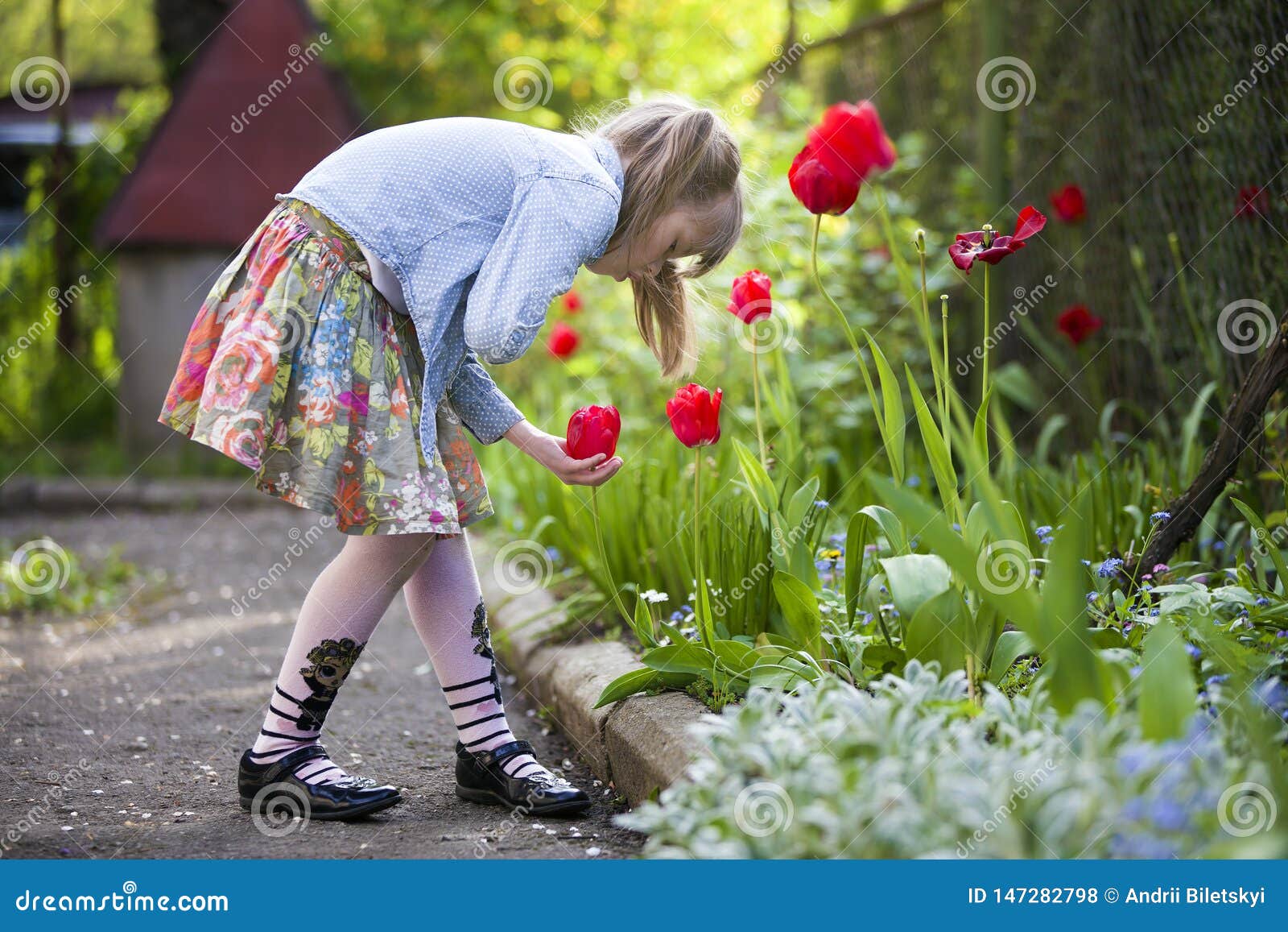 Profile of Cute Pretty Child Girl Outdoor at Flower Bed Looking at ...