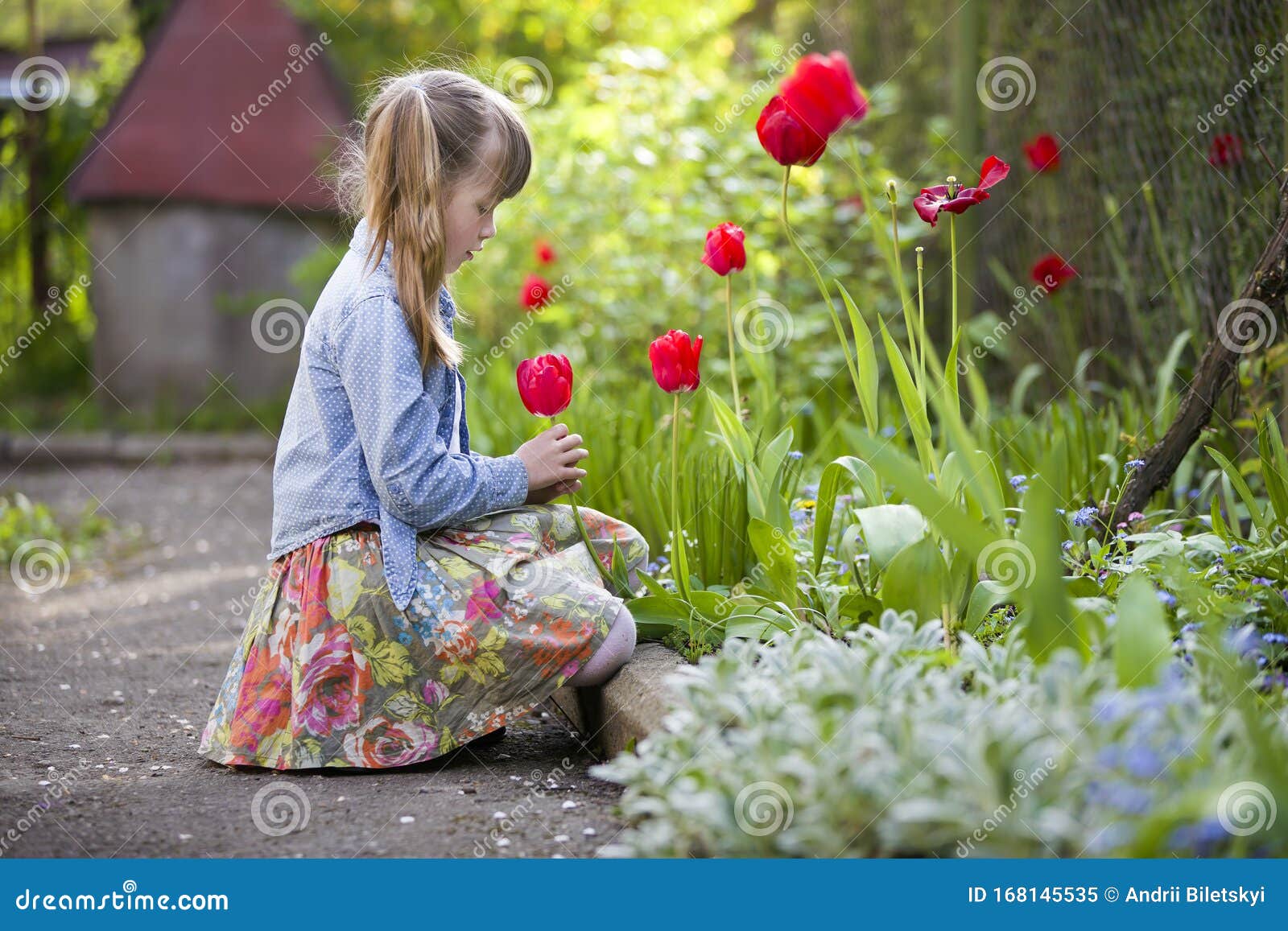 Profile of Cute Pretty Child Girl Outdoor at Flower Bed Looking at ...