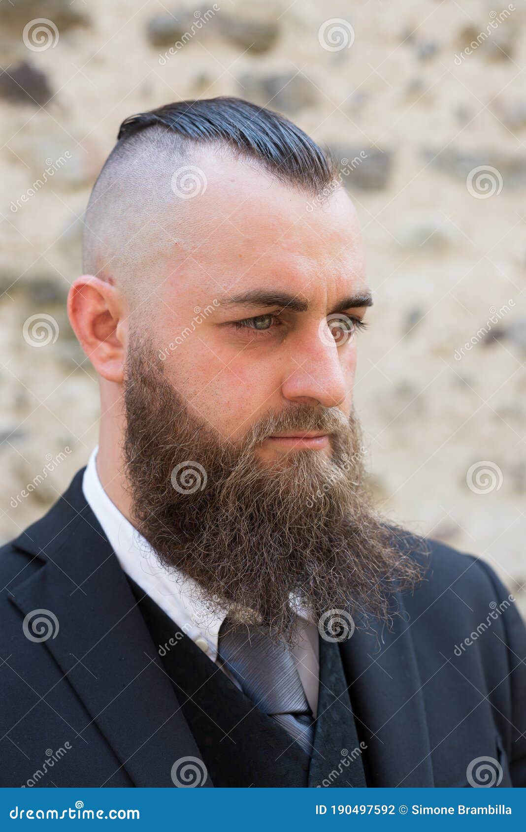 Profile Portrait of a Man with a Long Beard Stock Photo - Image of  mustache, elegant: 190497592