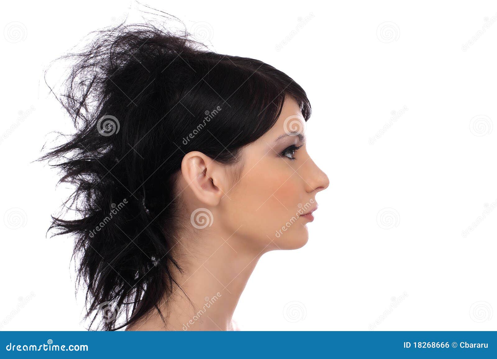 46,268 Lady Profile Stock Photos - Free & Royalty-Free Stock Photos from Dreamstime