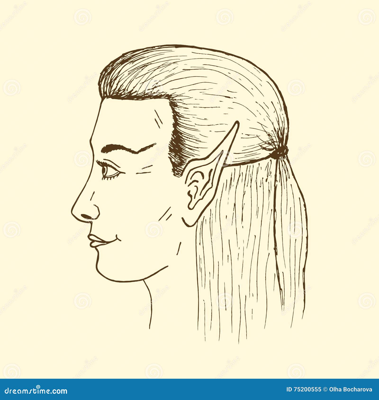 Profile Of A Young Elf Vector Hand Drawn Elf S Face Stock