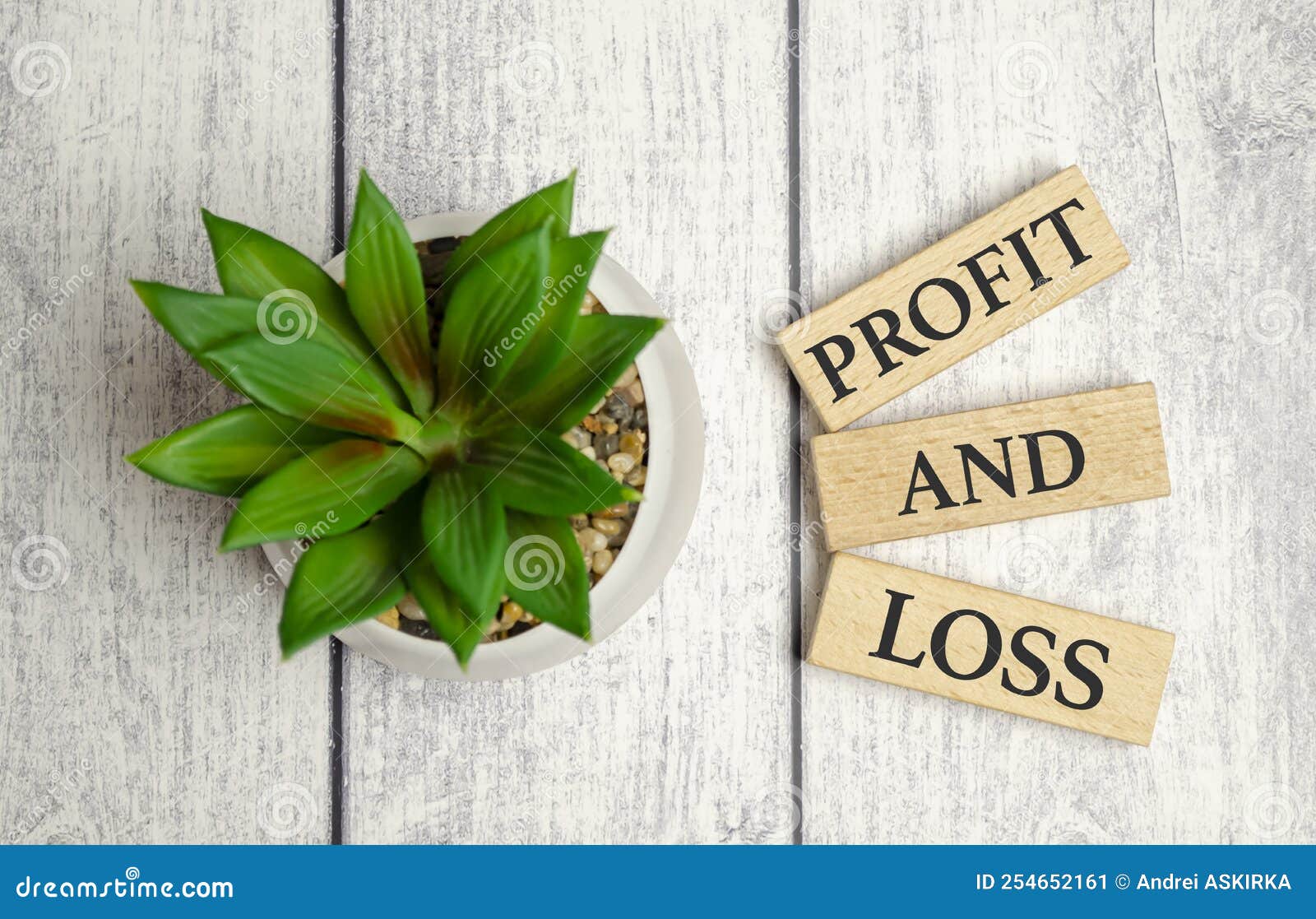 Profit and Loss Words on Wooden Blocks and Plant Stock Image - Image of ...