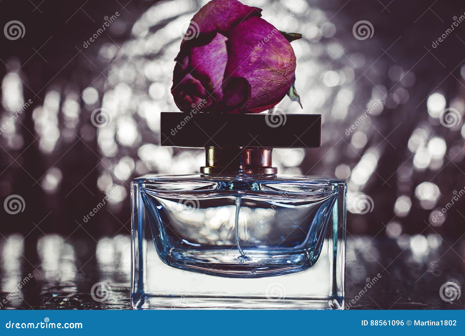 Sentire Profumo Di Rosa Significato Profumo e rose rosa fotografia stock. Immagine di closeup - 88561096