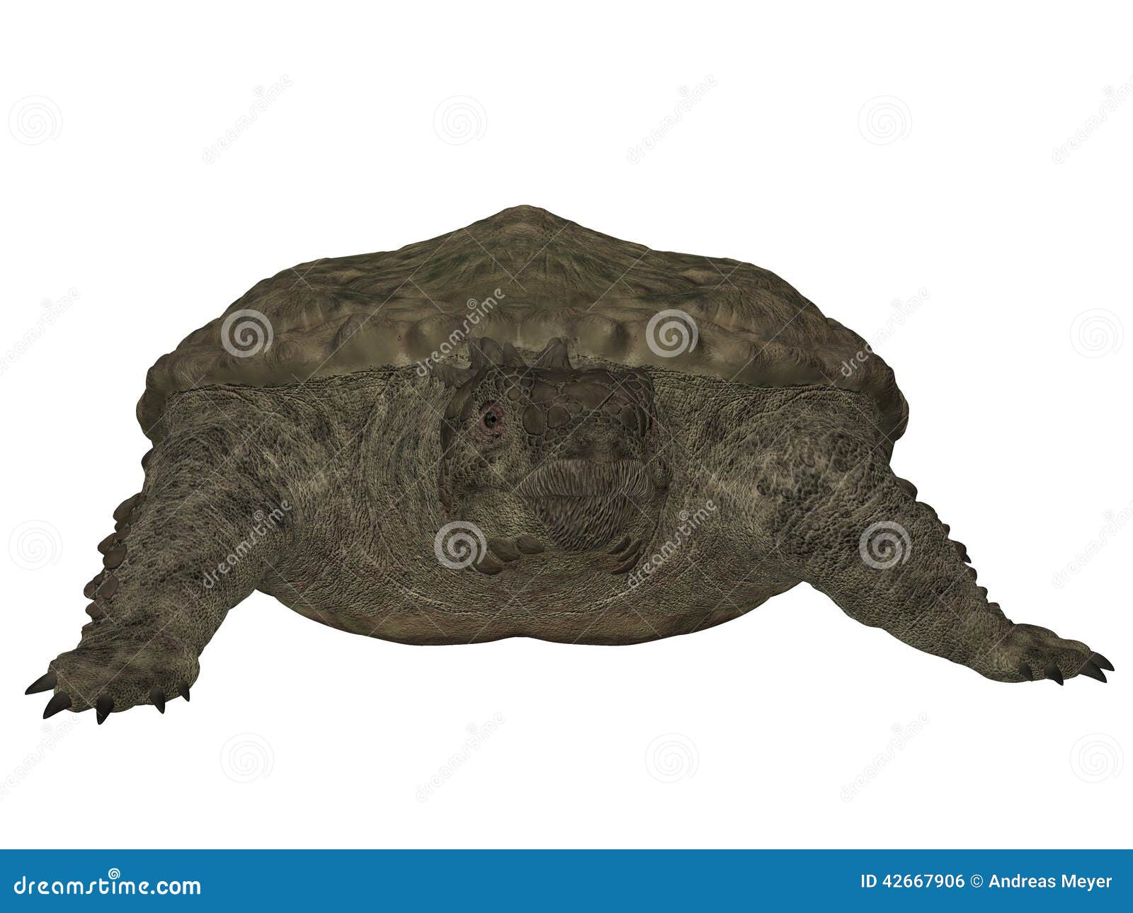 Proganochelys quenstedti stock illustration. Illustration of swimming ...