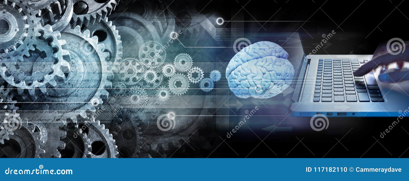 Programmer Computer Technology Business Innovation Stock Photo Image