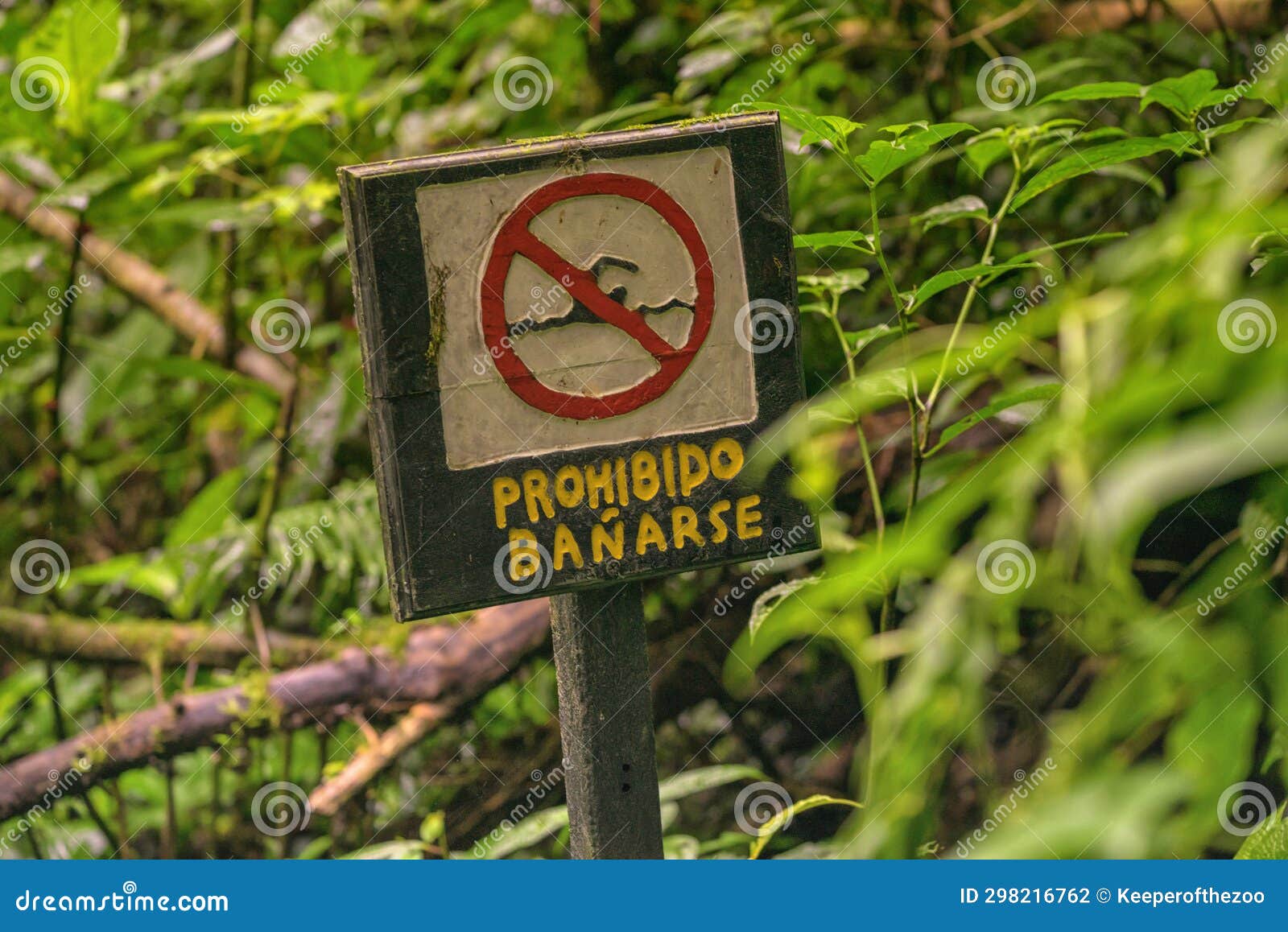 prohibido banarse sign in the foliage
