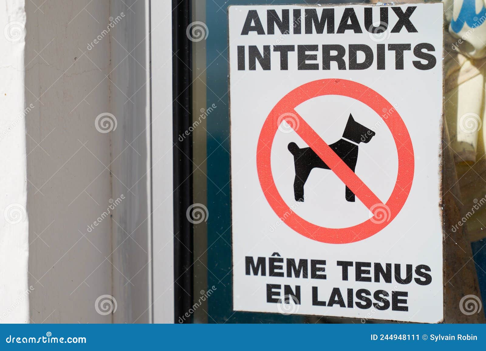 prohibiting red signs animals prohibited even on a leash dog sign french text means animaux interdits mÃÂªme tenus en laisse on