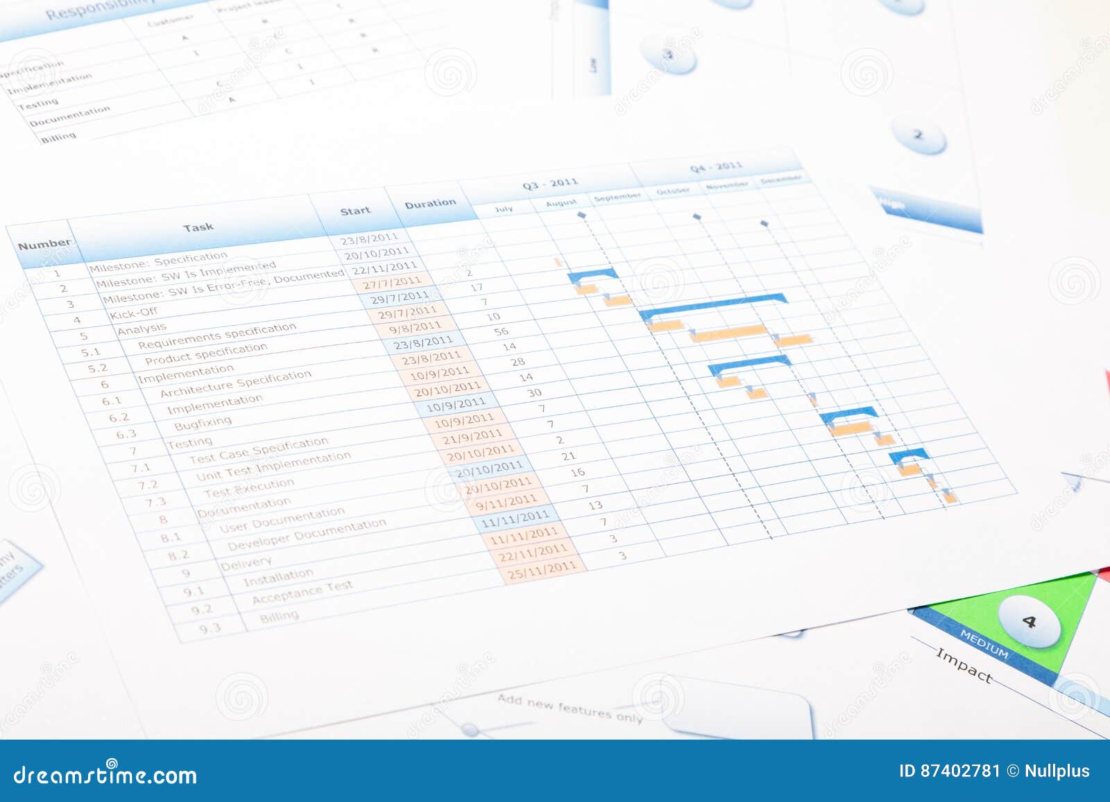 Raci Gantt Chart