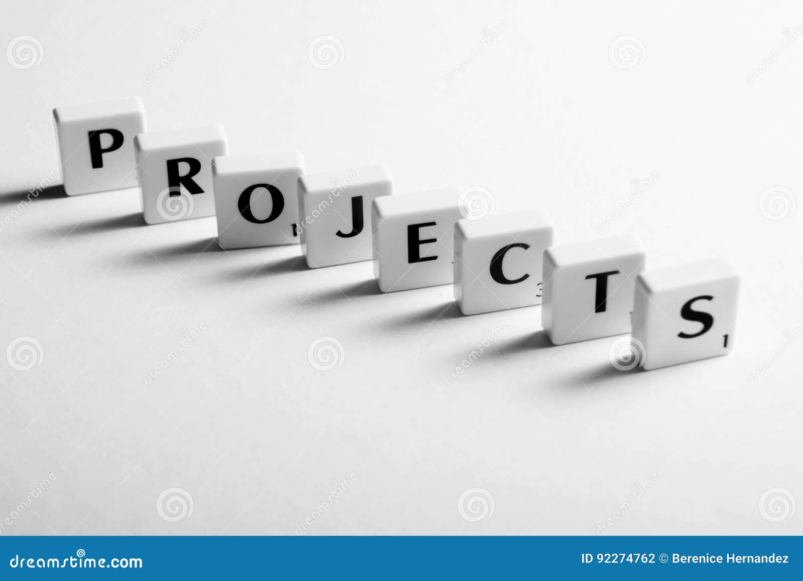 projects lead us to success