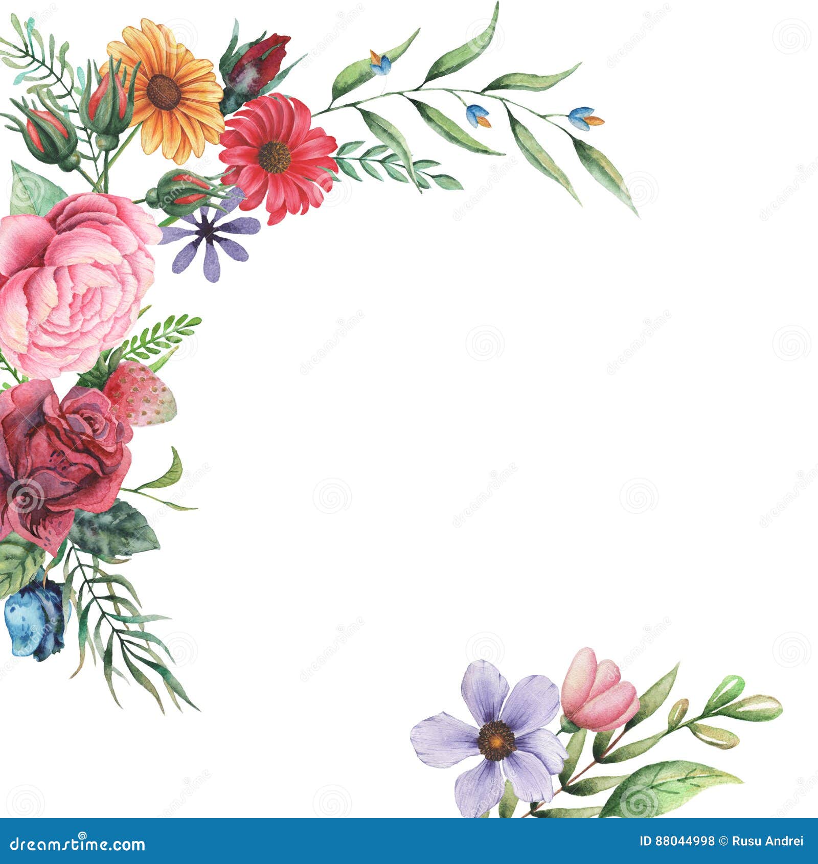 Featured image of post Flores Aquarela Para Convite Quadro vintage desenhado m o com pe nia folhas e bagas