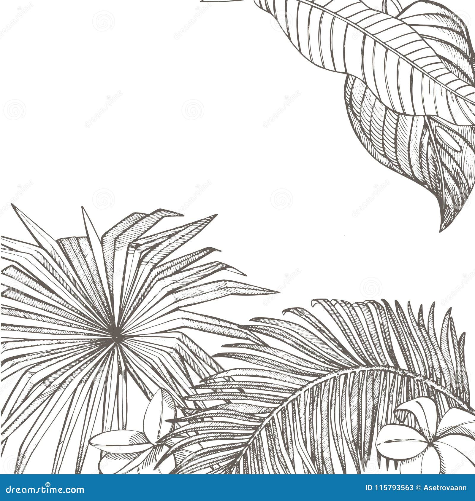 Projeto tropical do vetor das folhas do verão Fundo floral abstrato Convite ou projeto de cartão com folhas da selva