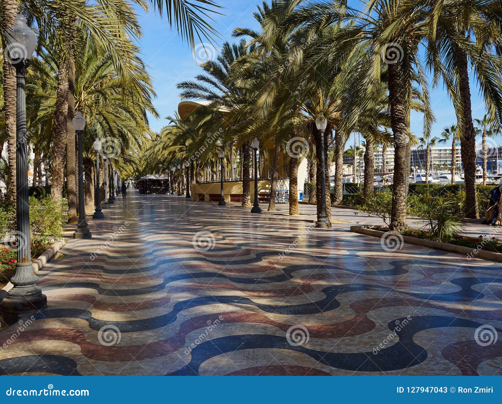 promenade explanada the main and famous tourist street alicante