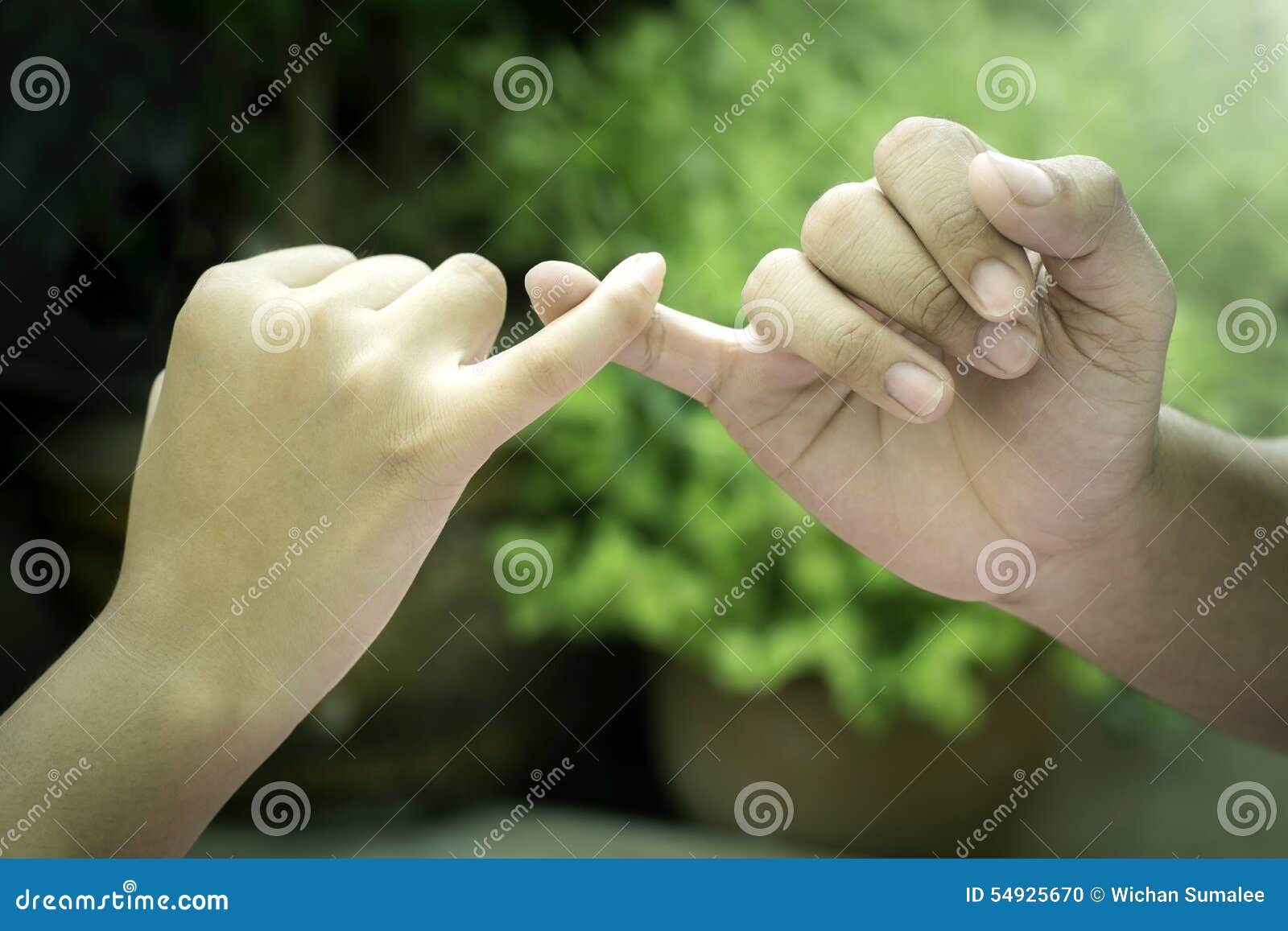 12,397 Love Promise Stock Photos - Free & Royalty-Free Stock Photos from  Dreamstime