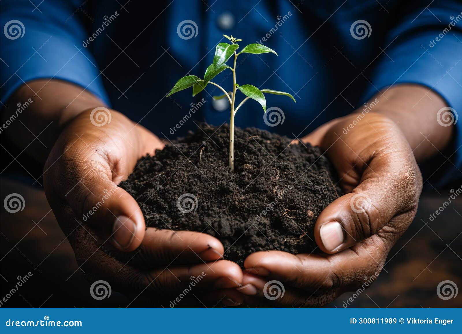 promoting the importance of tree planting in combating climate change and preserving green spaces