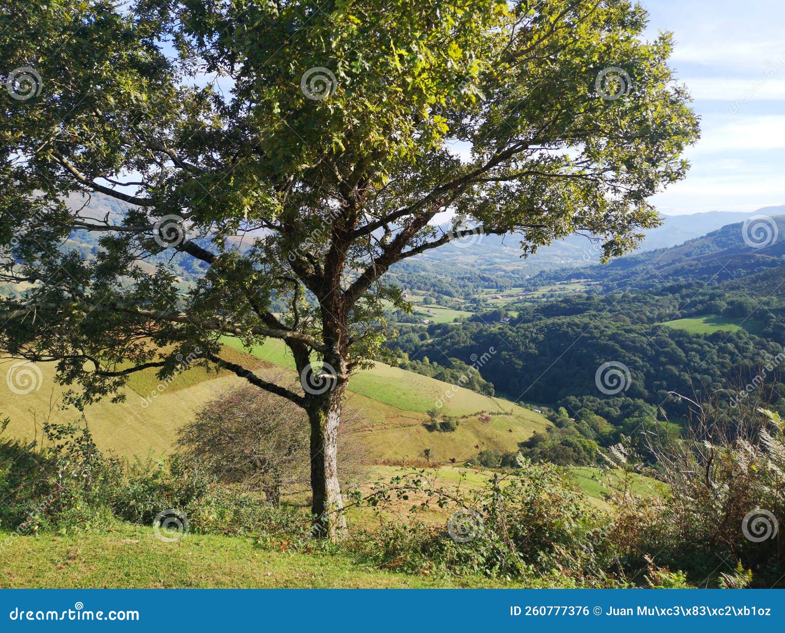 promotional photograph of the baztÃÂ¡n valley,