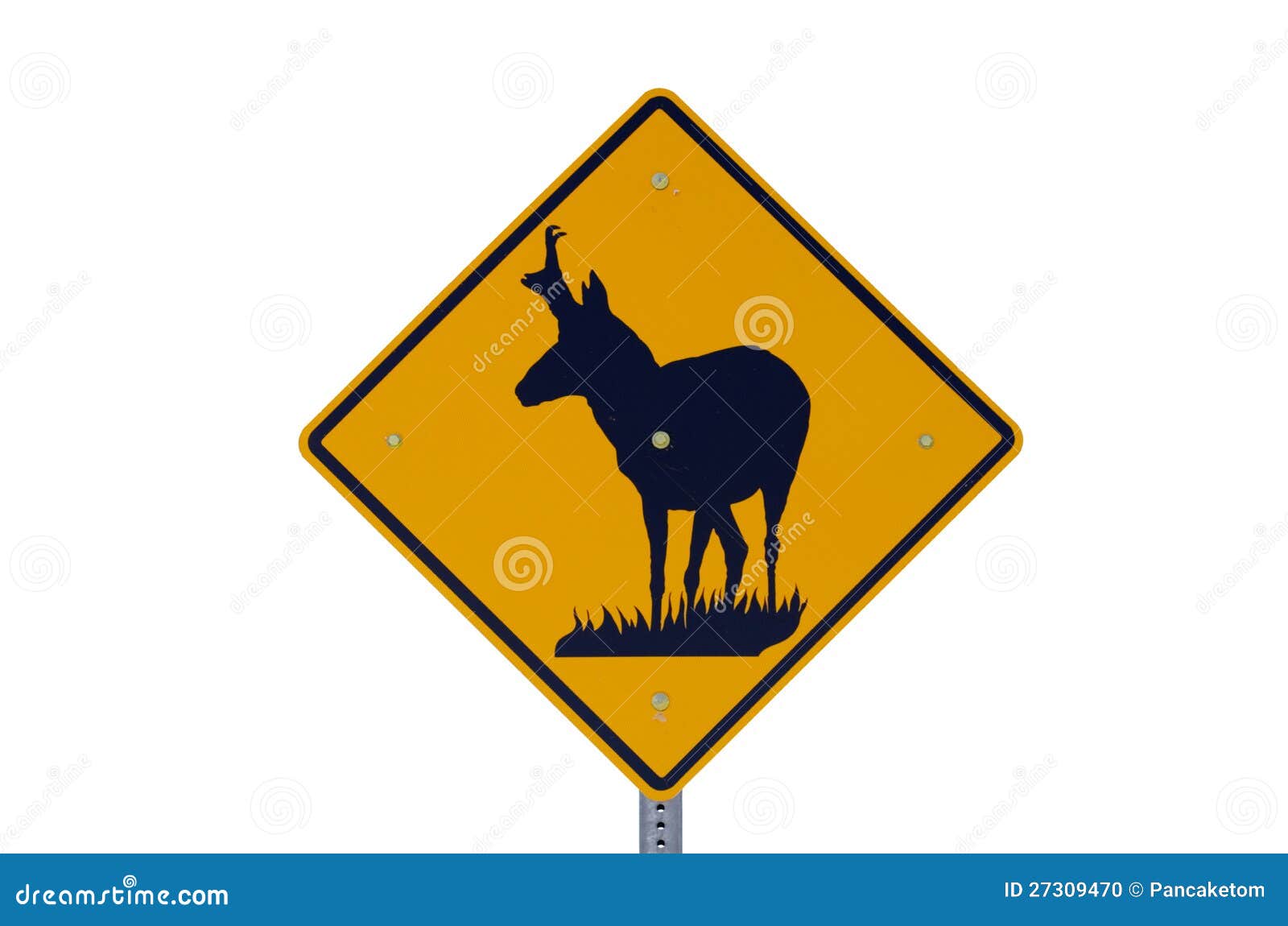 Pronghorn Antelope Sign stock photo. Image of antelope - 27309470