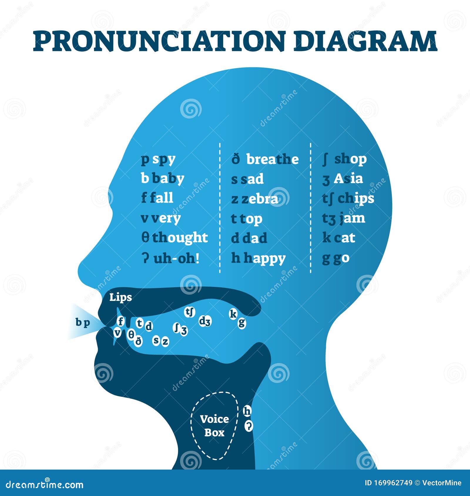 pronunciation diagram chart with letters and corresponding sounds,  